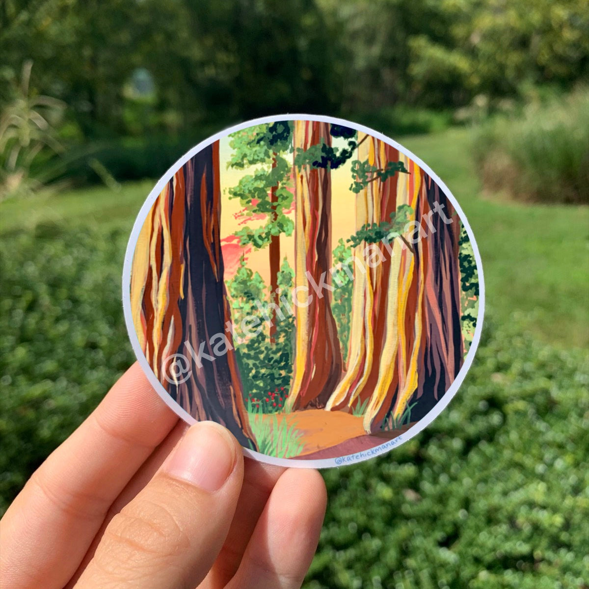 Redwood National Park Sticker