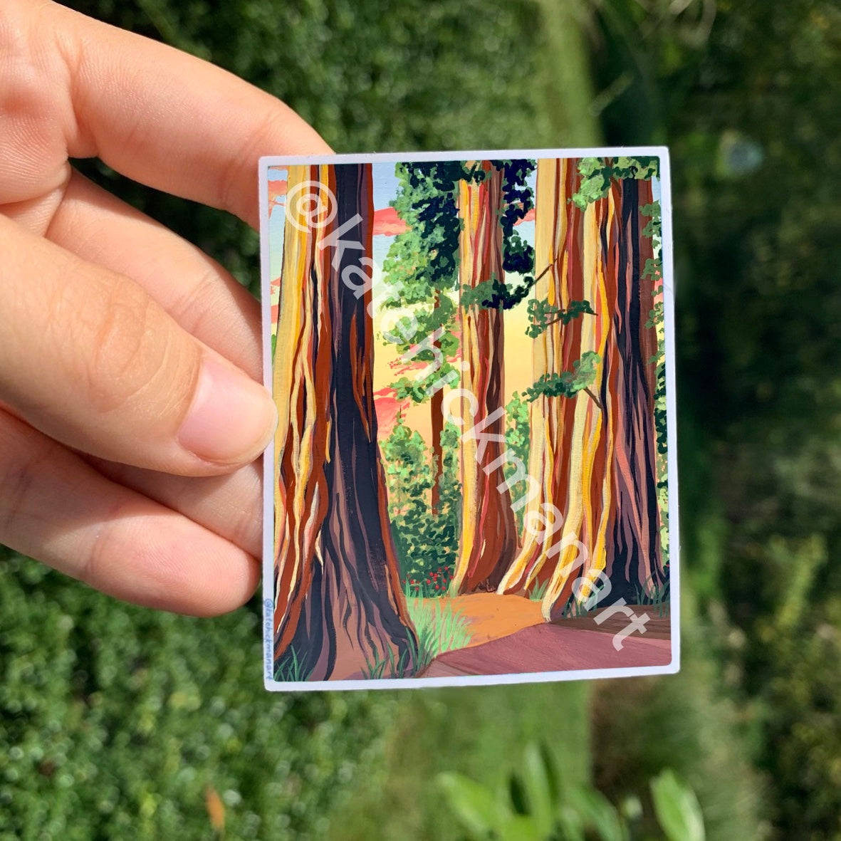 Redwood National Park Sticker