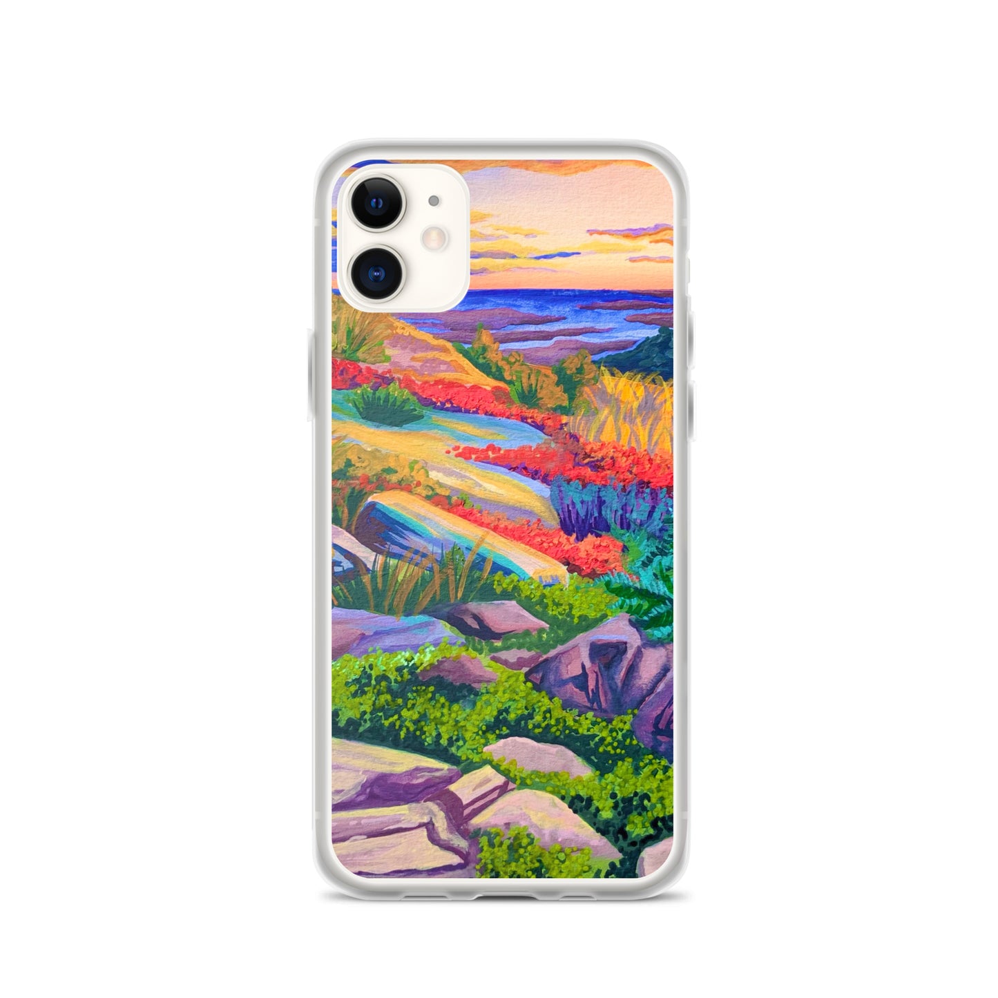 Acadia National Park iPhone Case