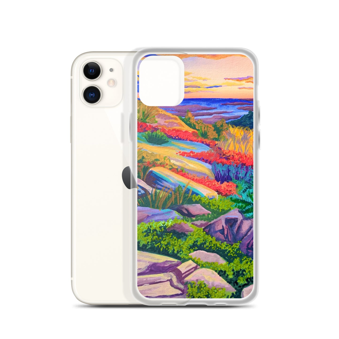 Acadia National Park iPhone Case