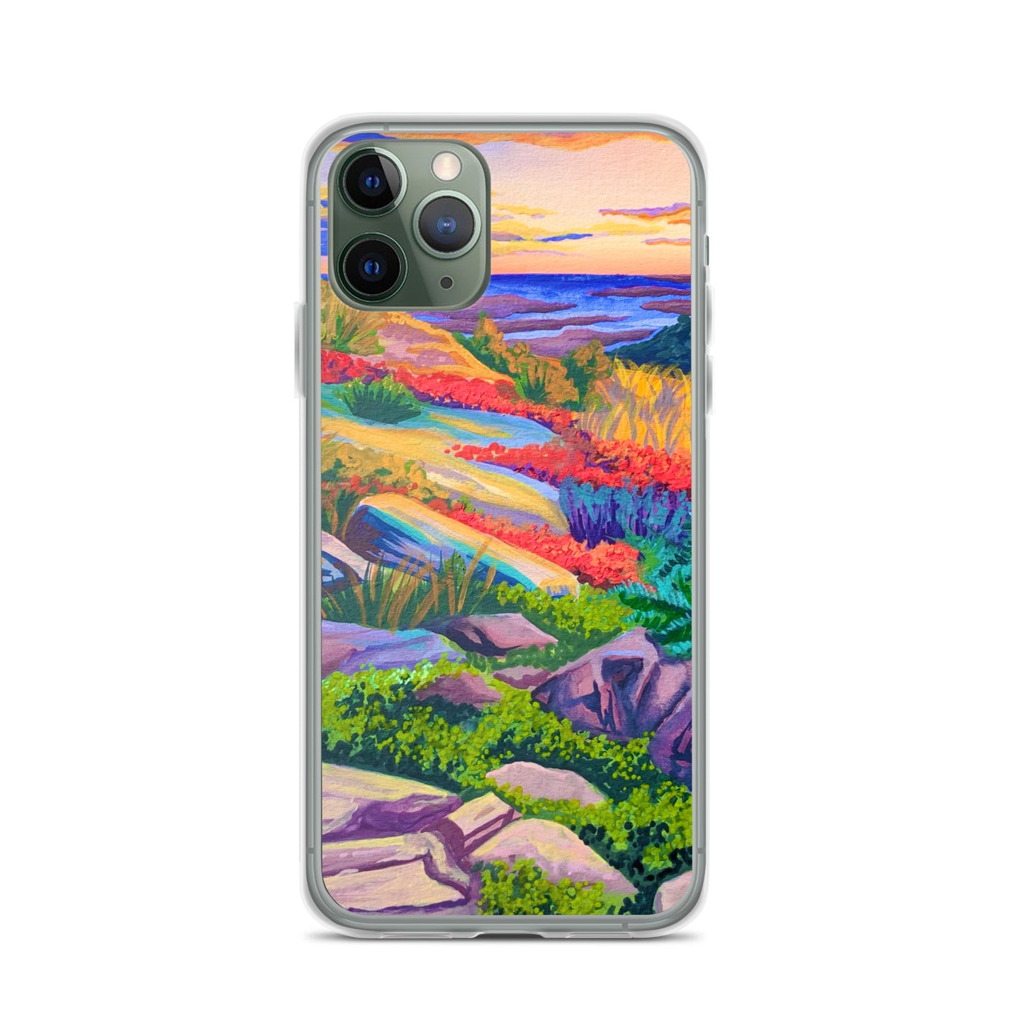 Acadia National Park iPhone Case