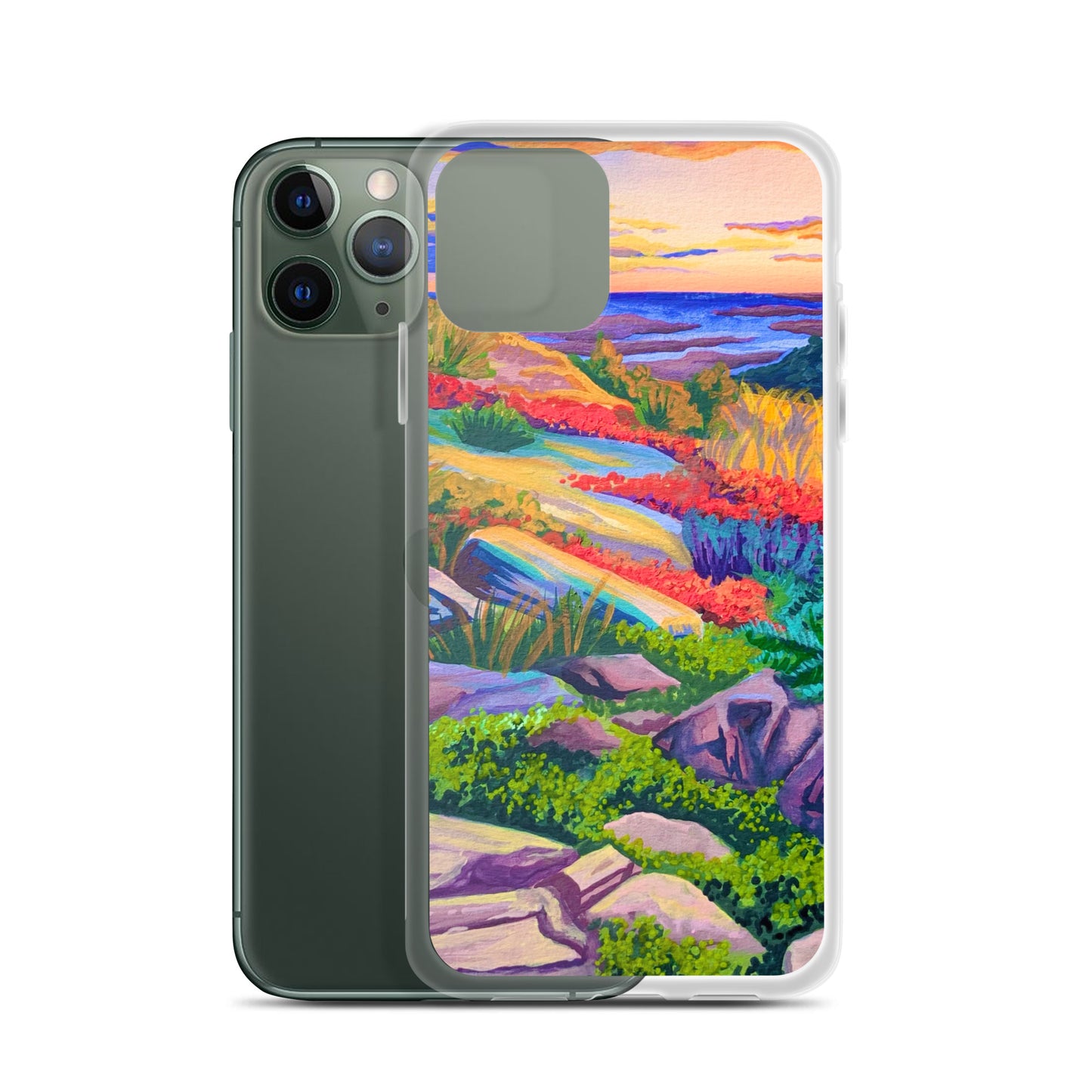 Acadia National Park iPhone Case