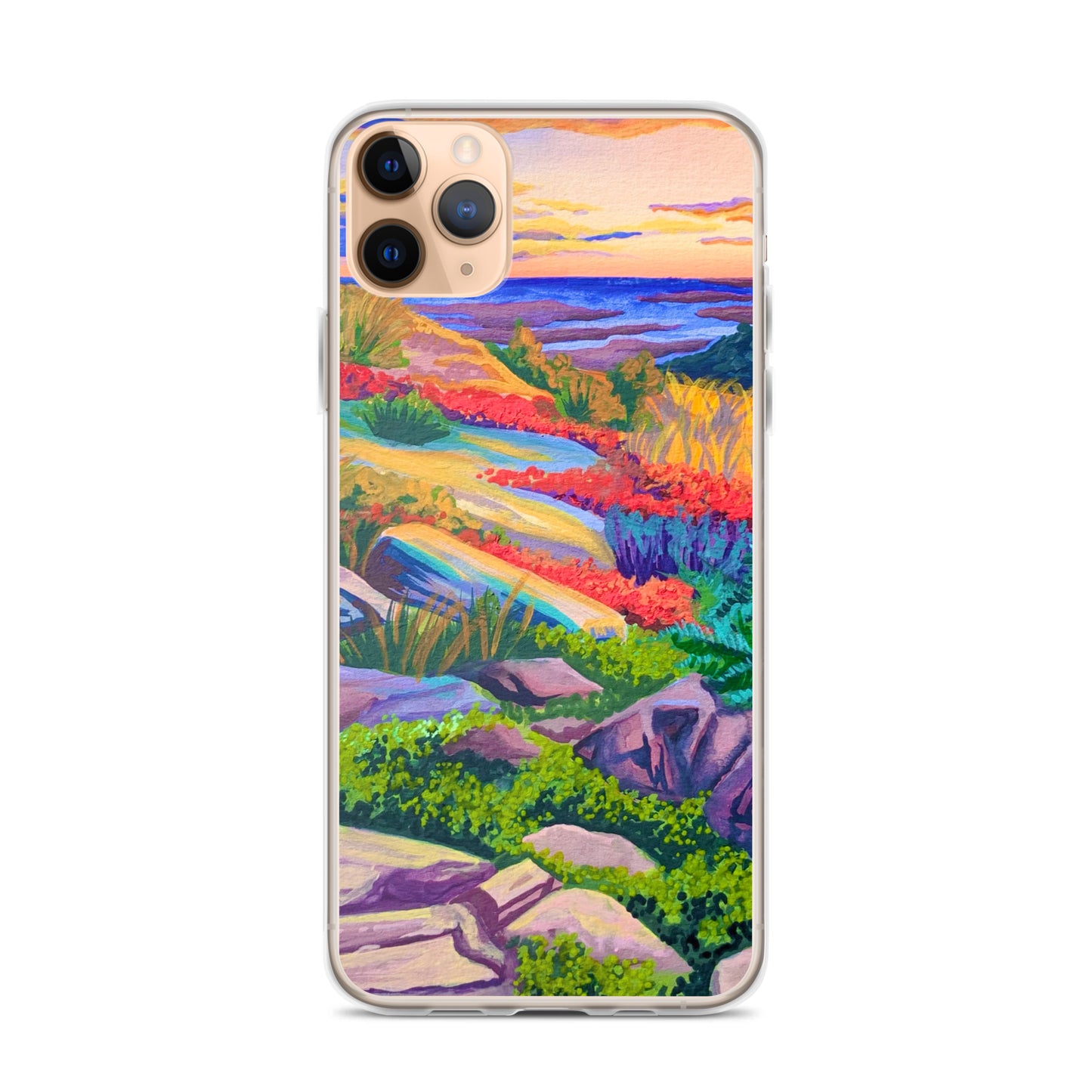 Acadia National Park iPhone Case