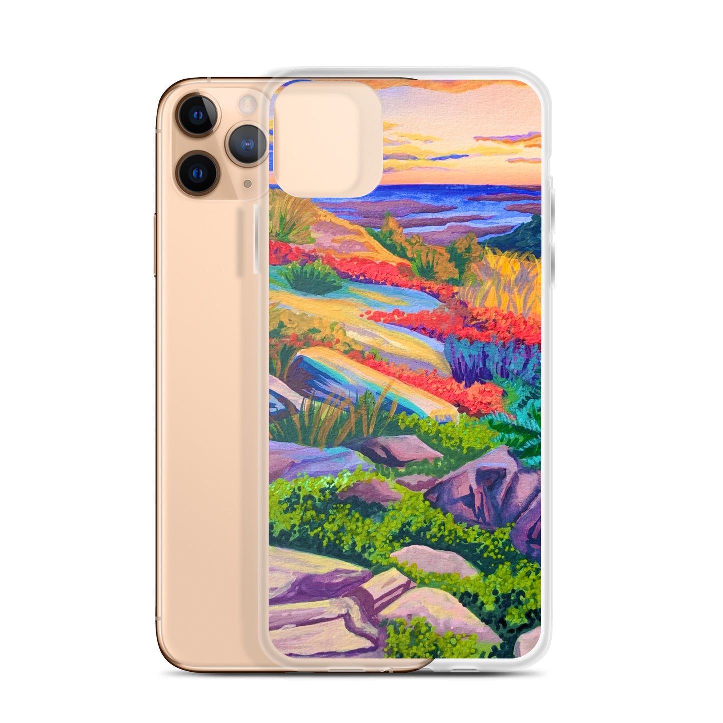 Acadia National Park iPhone Case