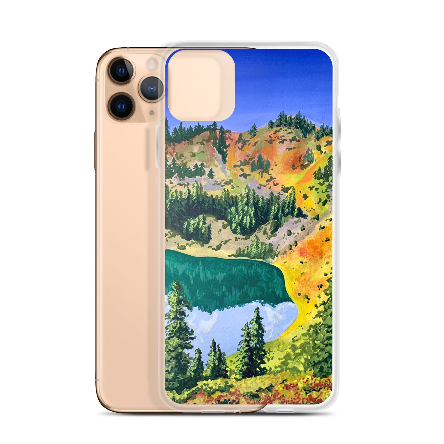 Olympic National Park iPhone Case