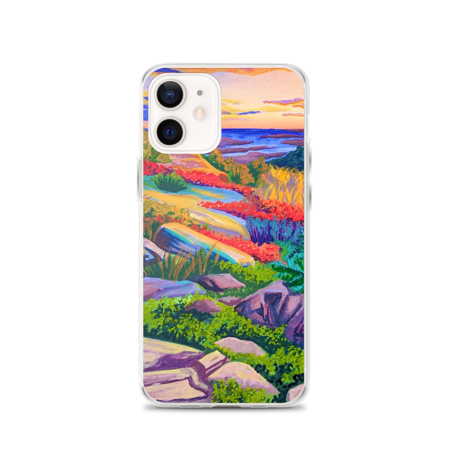 Acadia National Park iPhone Case