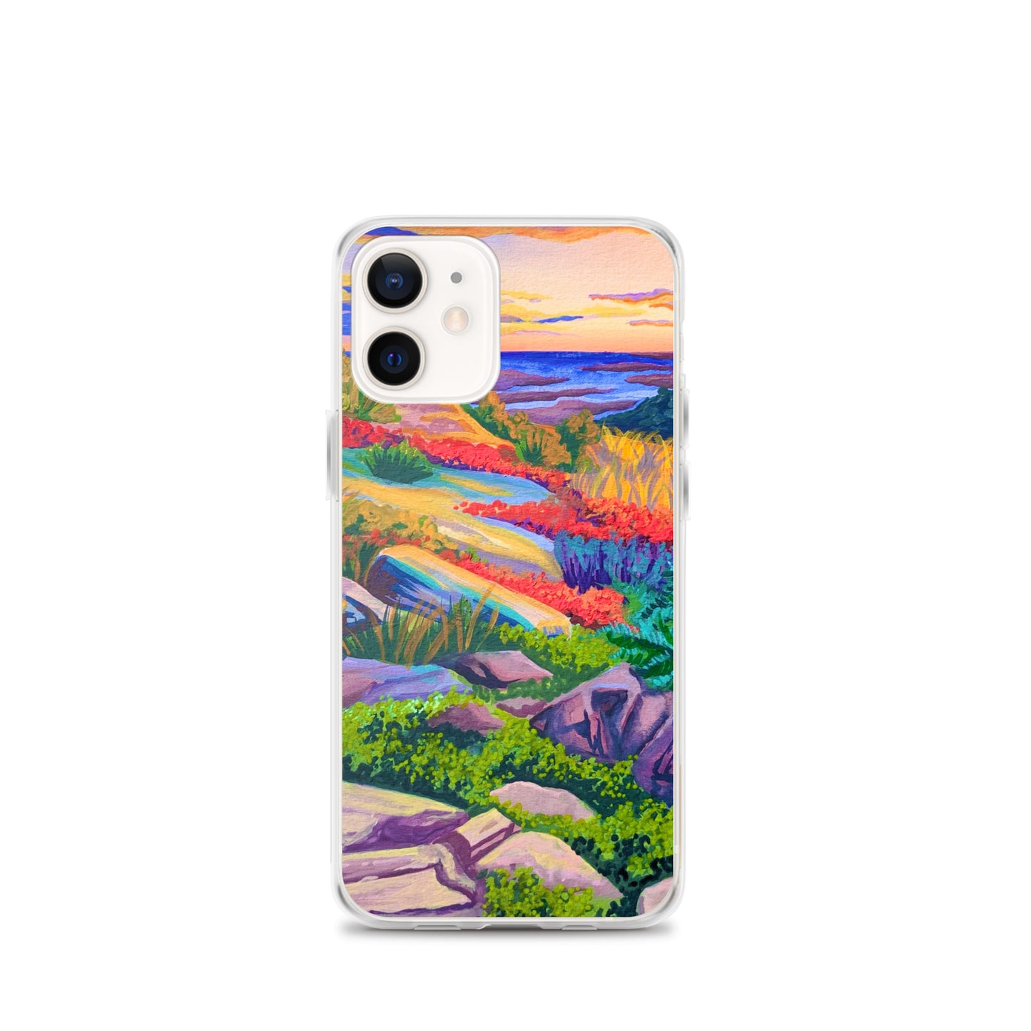 Acadia National Park iPhone Case