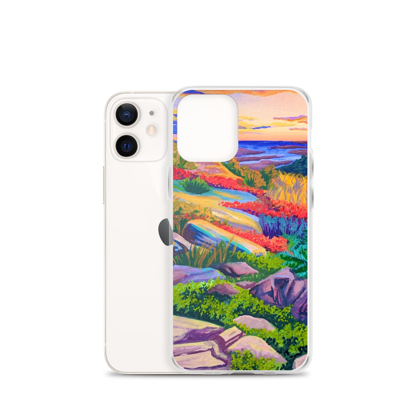 Acadia National Park iPhone Case