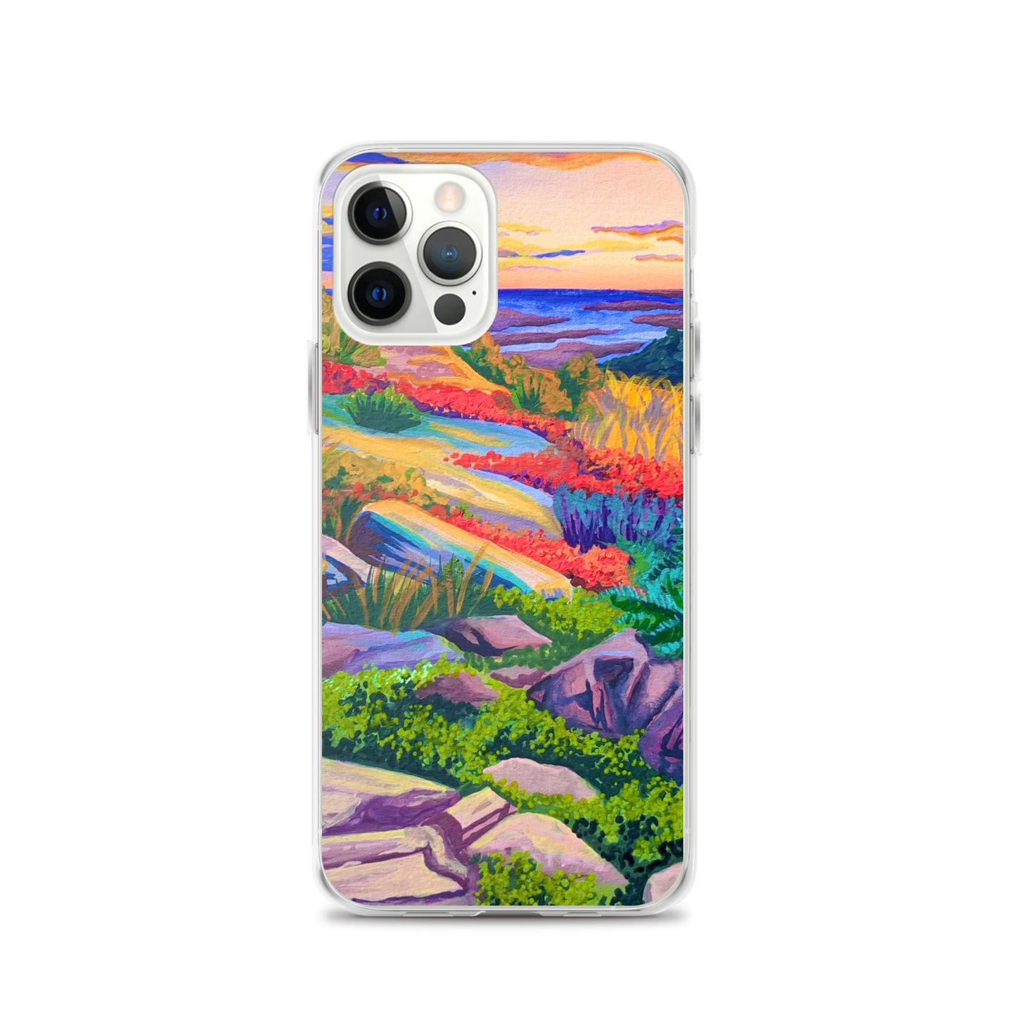 Acadia National Park iPhone Case