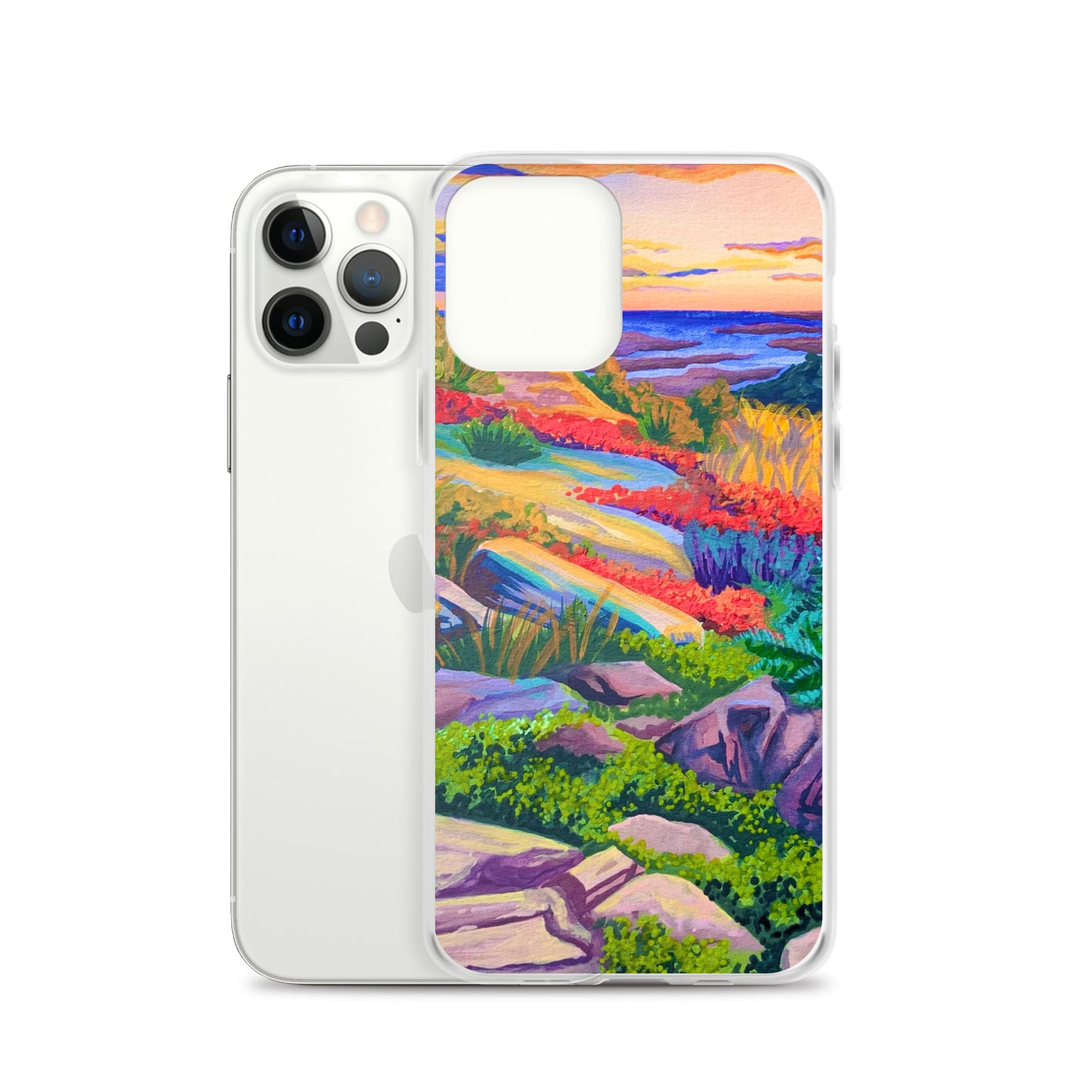 Acadia National Park iPhone Case