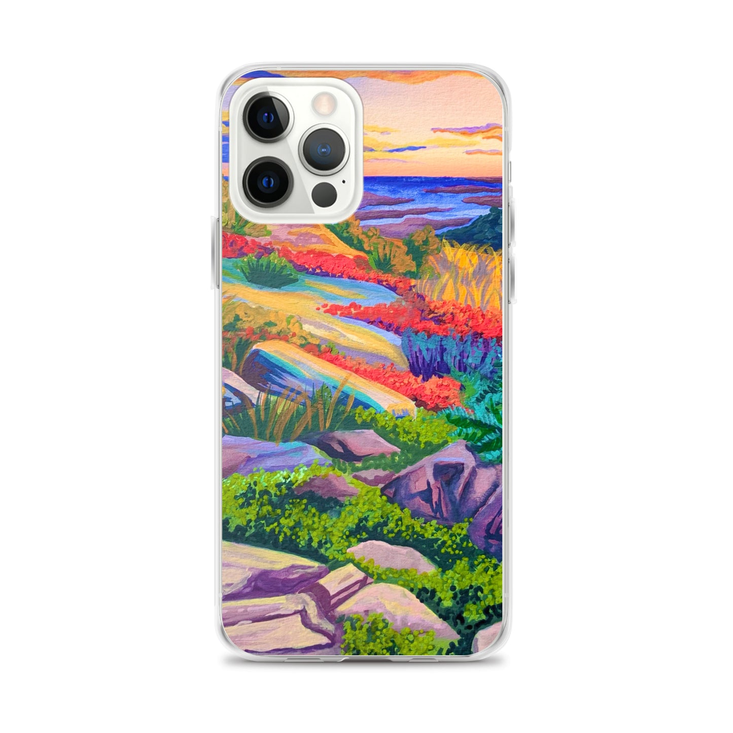 Acadia National Park iPhone Case