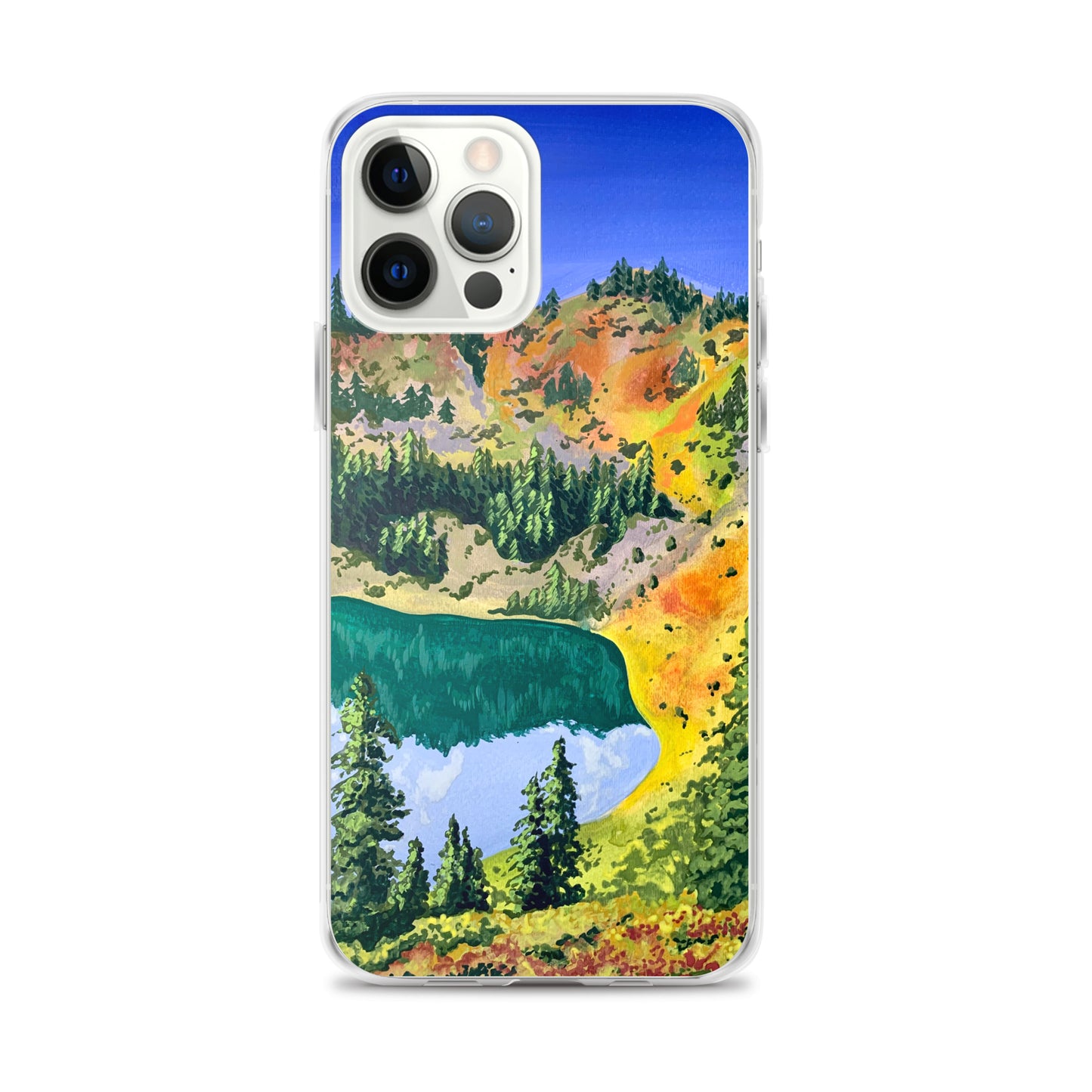 Olympic National Park iPhone Case