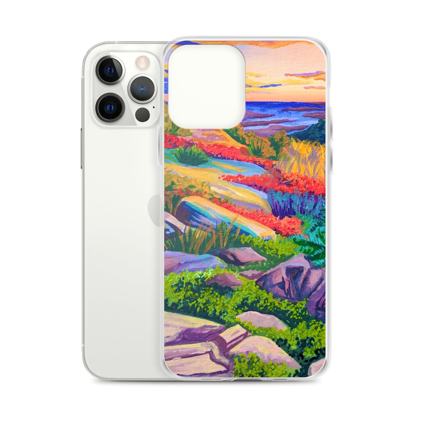 Acadia National Park iPhone Case