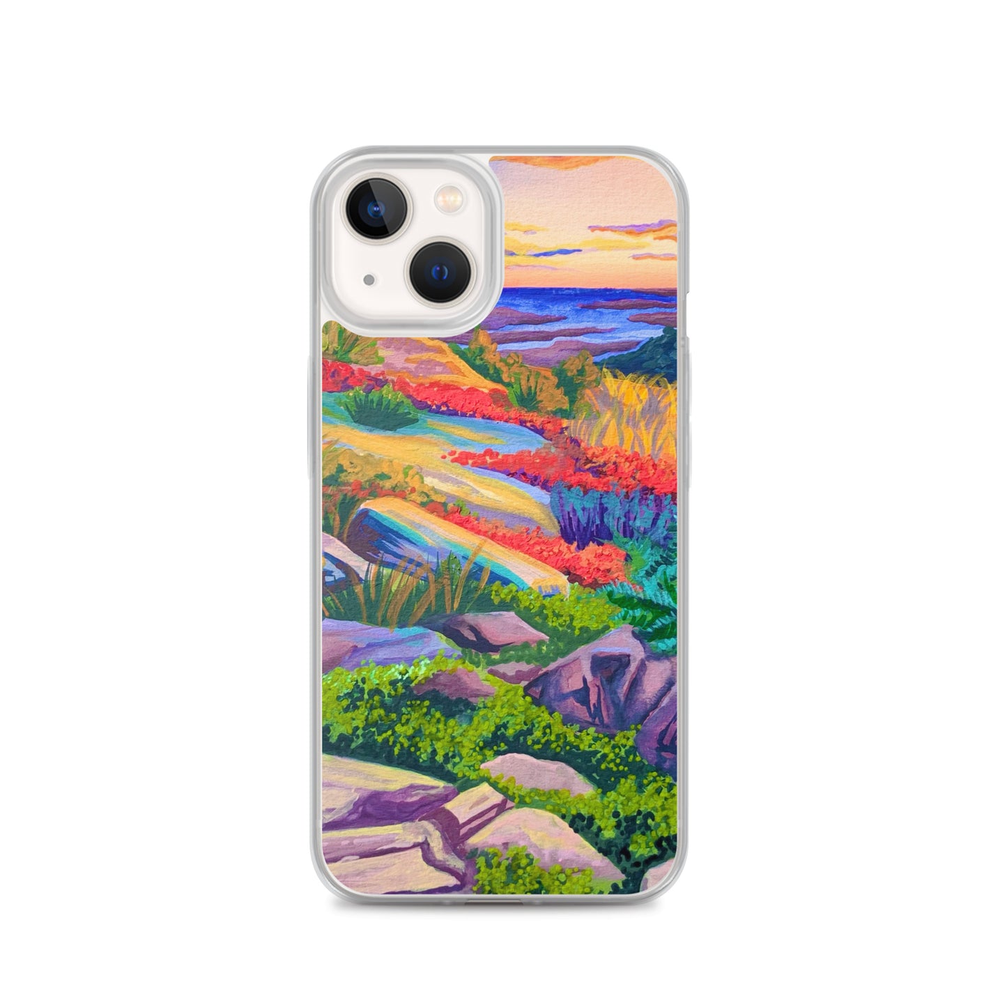 Acadia National Park iPhone Case