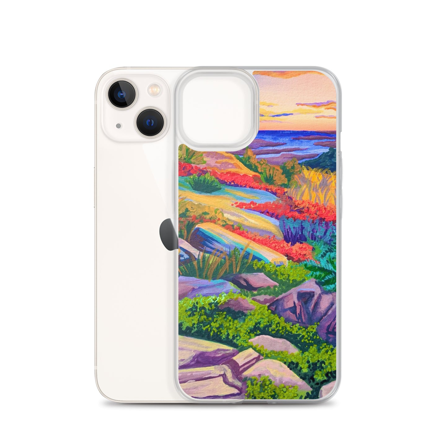 Acadia National Park iPhone Case