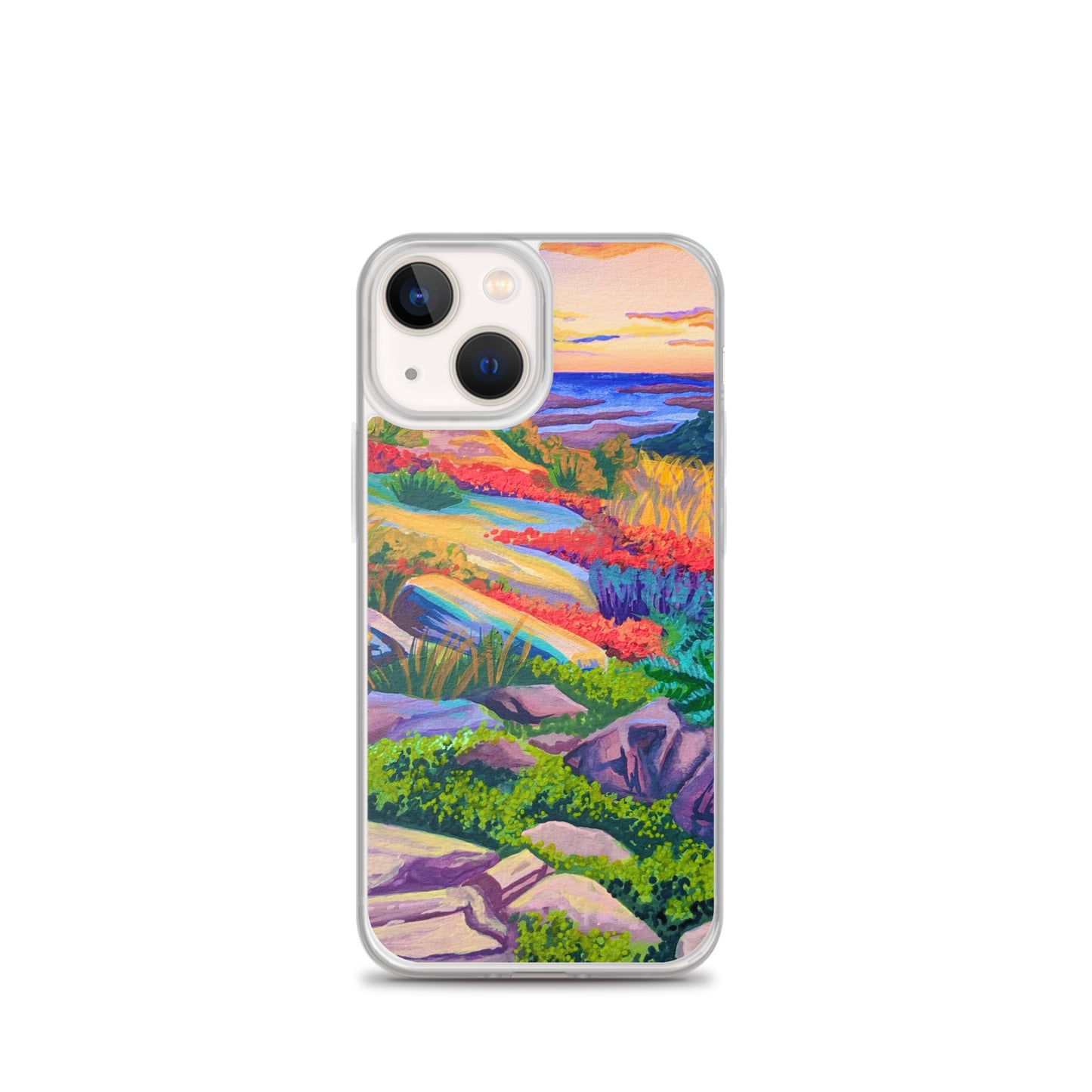 Acadia National Park iPhone Case