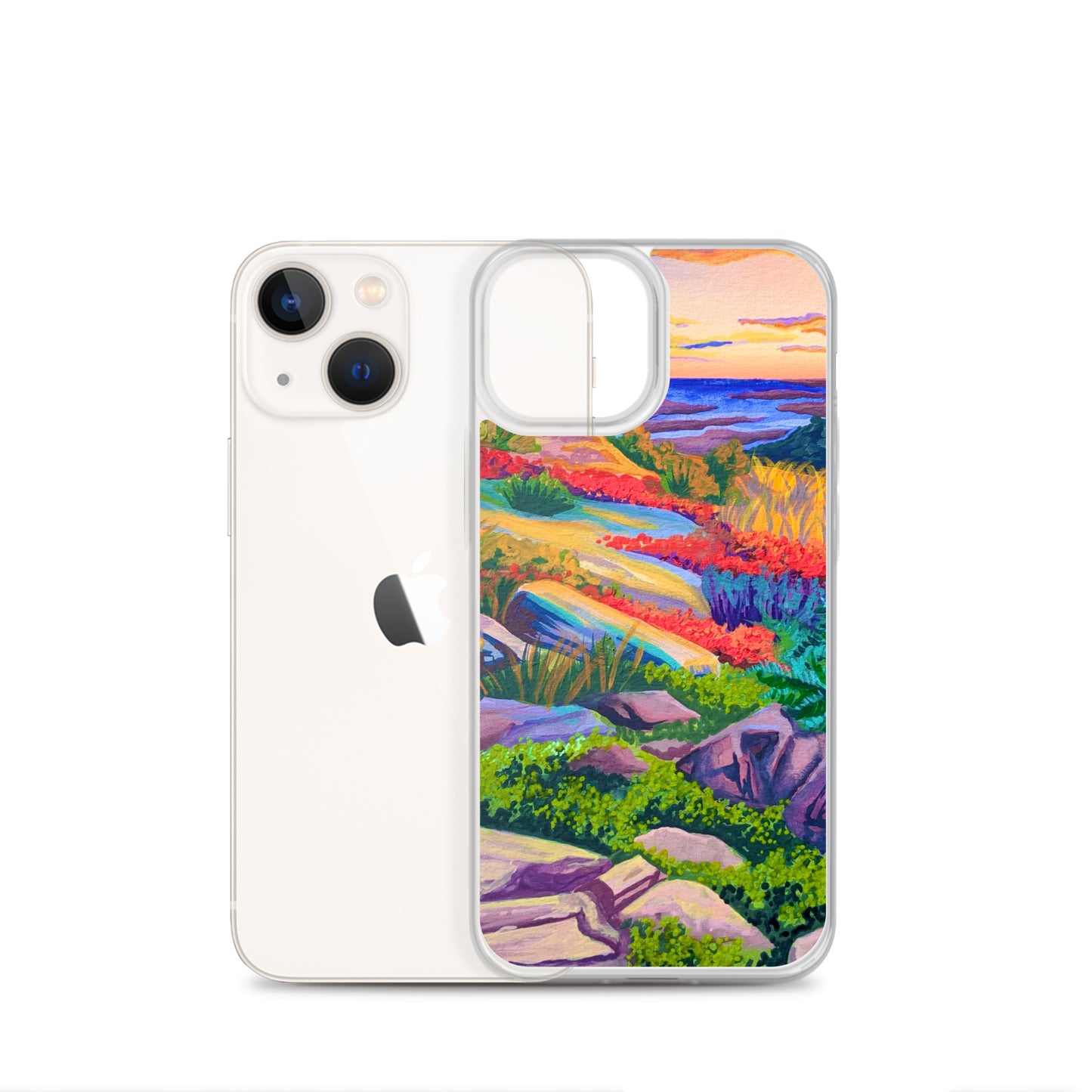 Acadia National Park iPhone Case