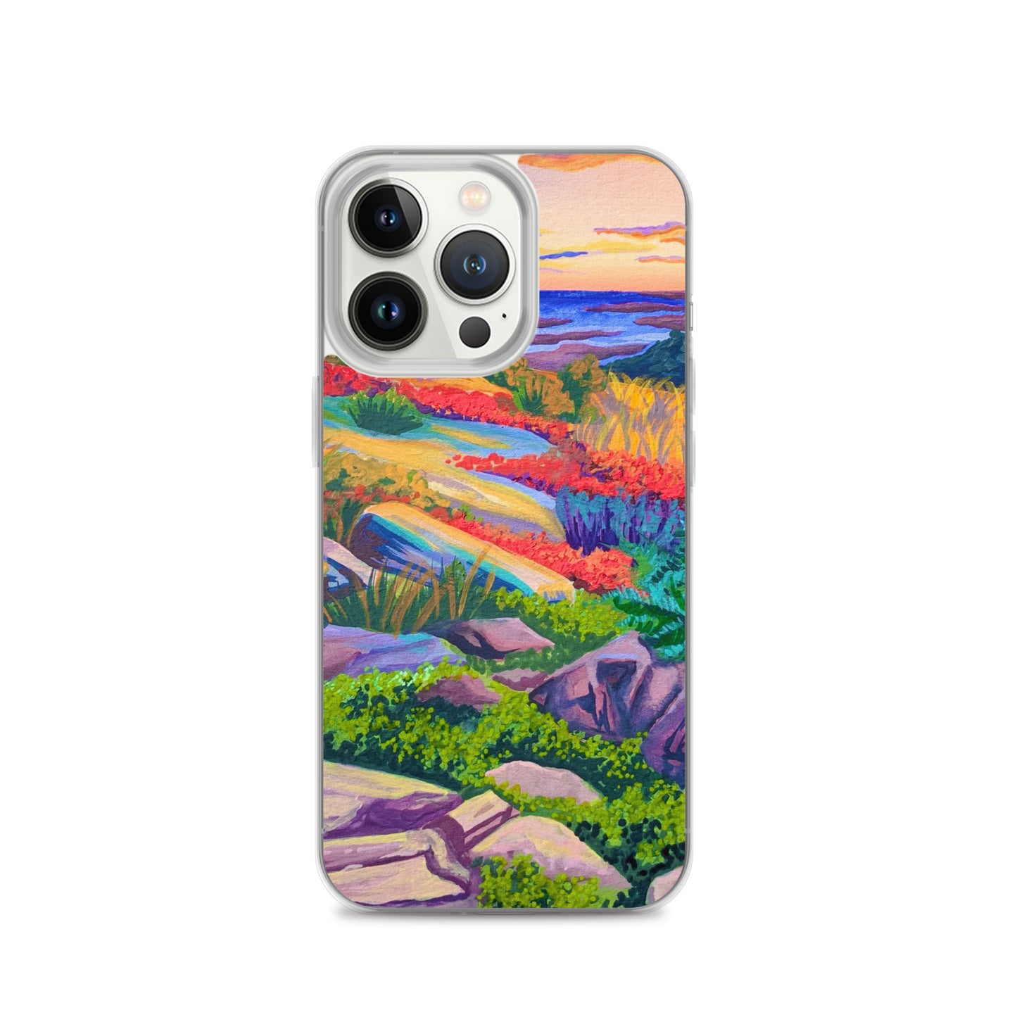 Acadia National Park iPhone Case