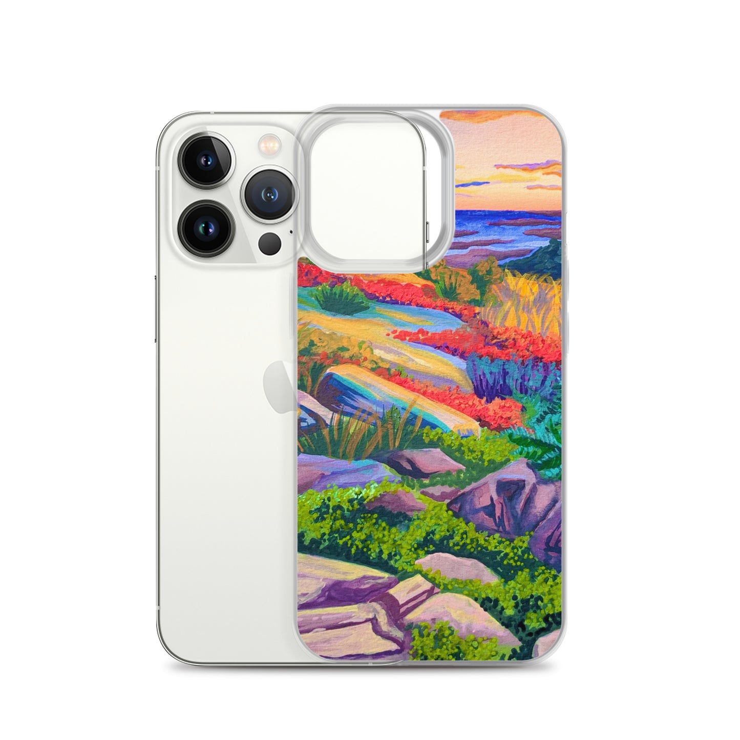 Acadia National Park iPhone Case