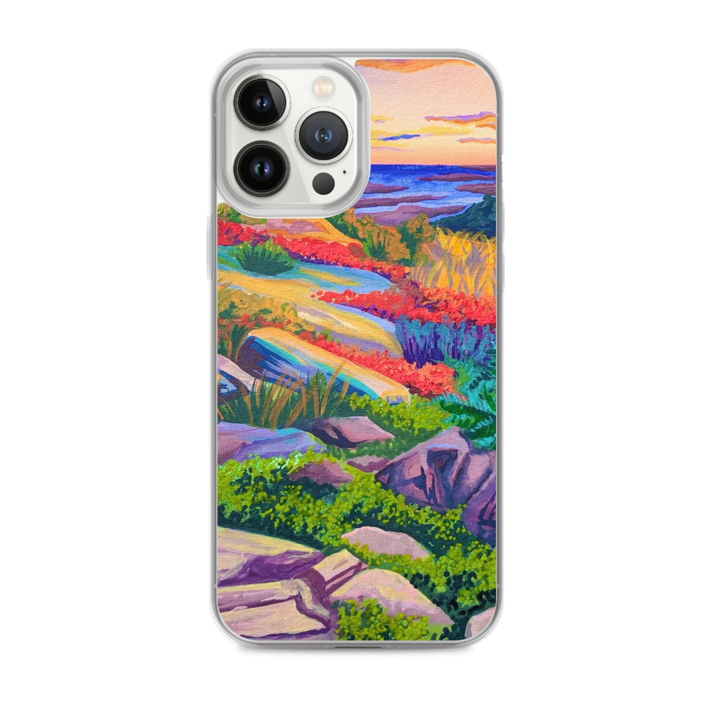 Acadia National Park iPhone Case