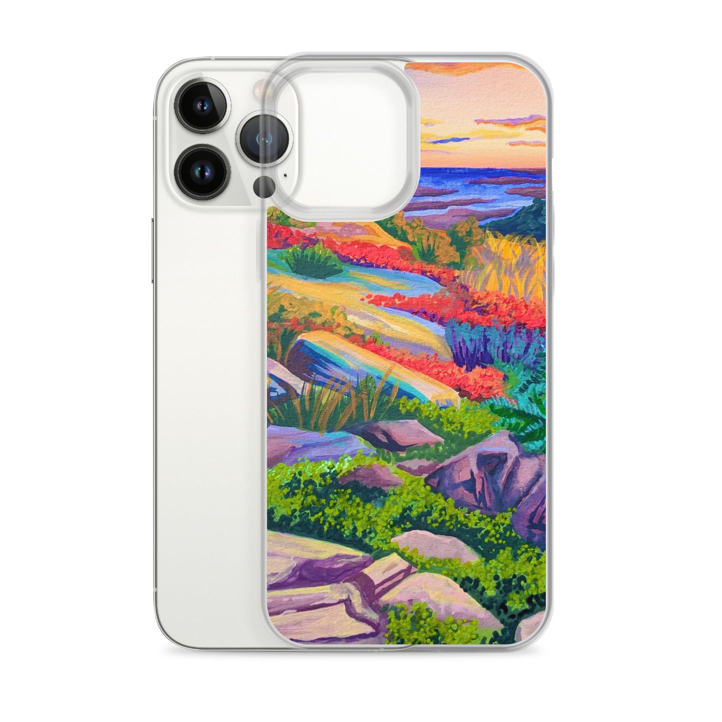 Acadia National Park iPhone Case