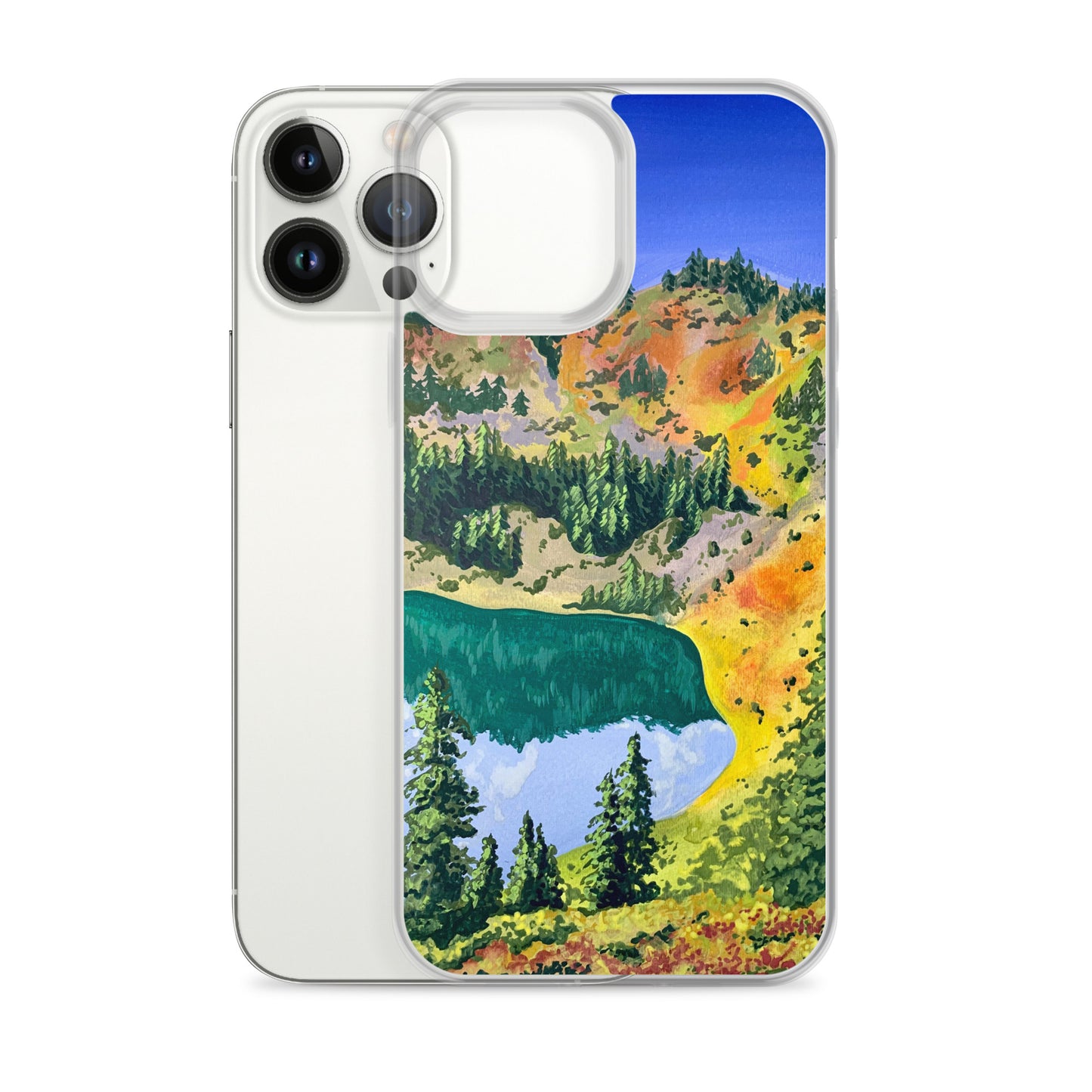 Olympic National Park iPhone Case