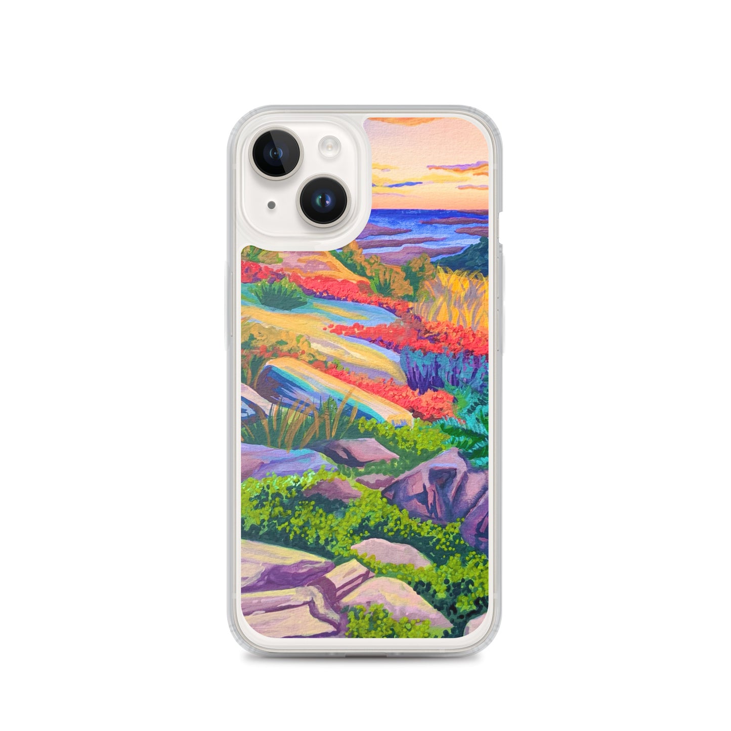 Acadia National Park iPhone Case