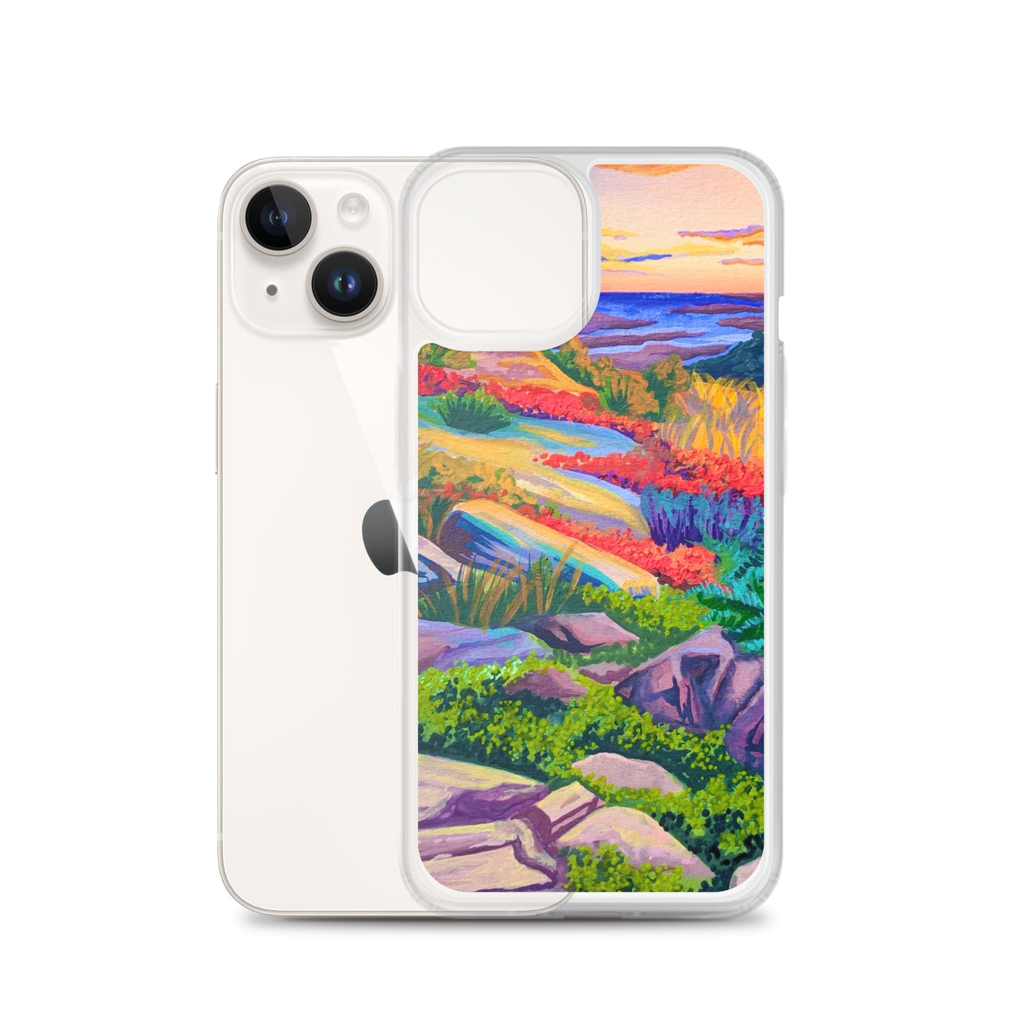 Acadia National Park iPhone Case