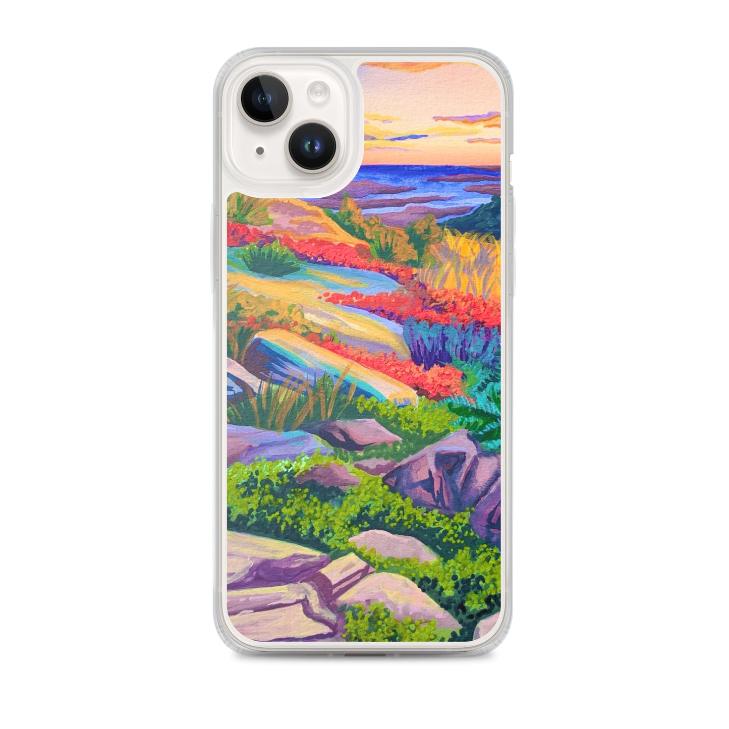 Acadia National Park iPhone Case