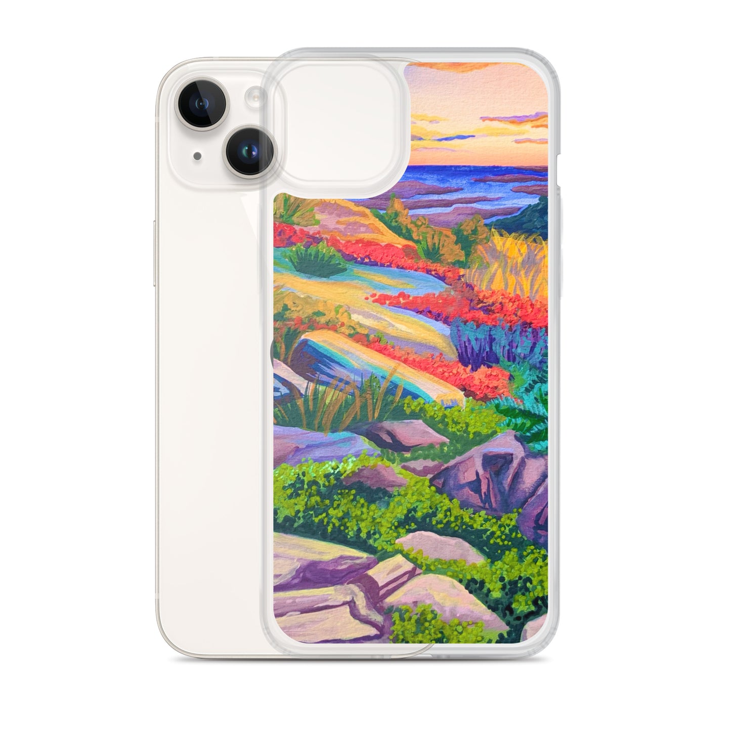 Acadia National Park iPhone Case