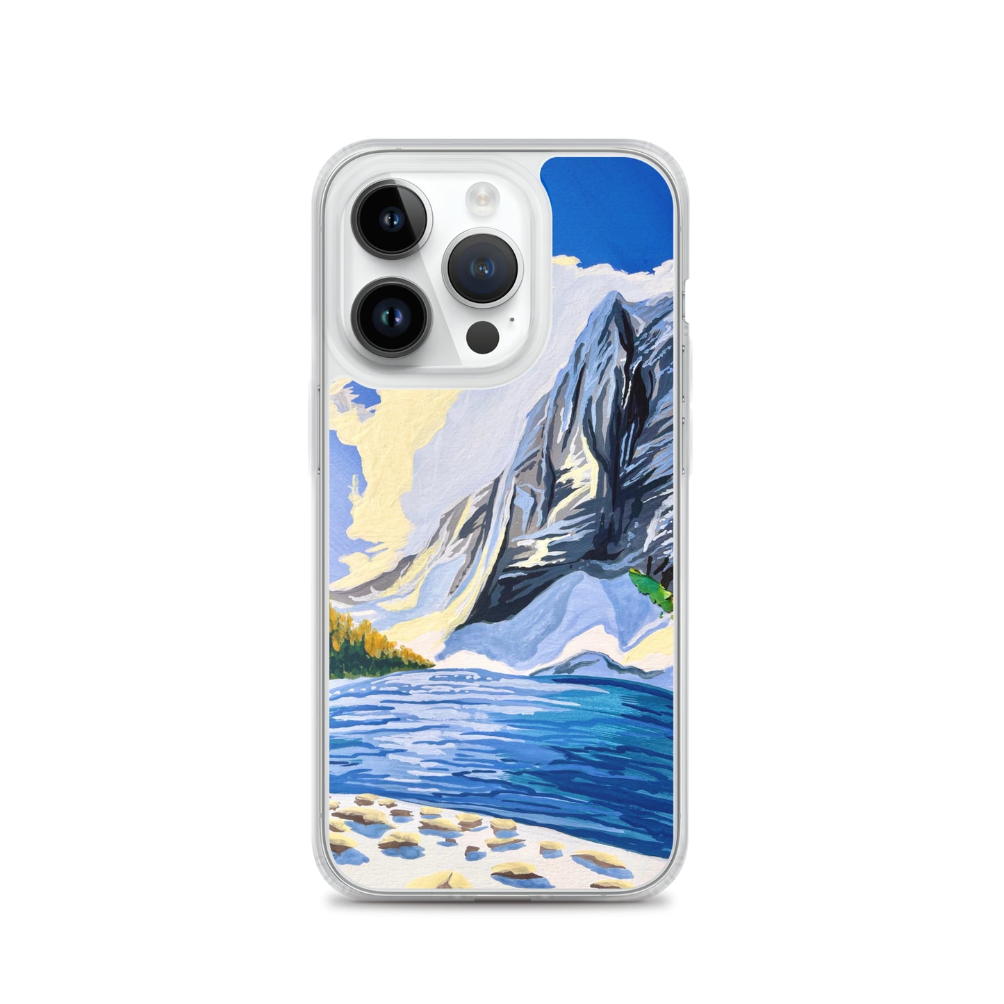 Denali National Park iPhone Case