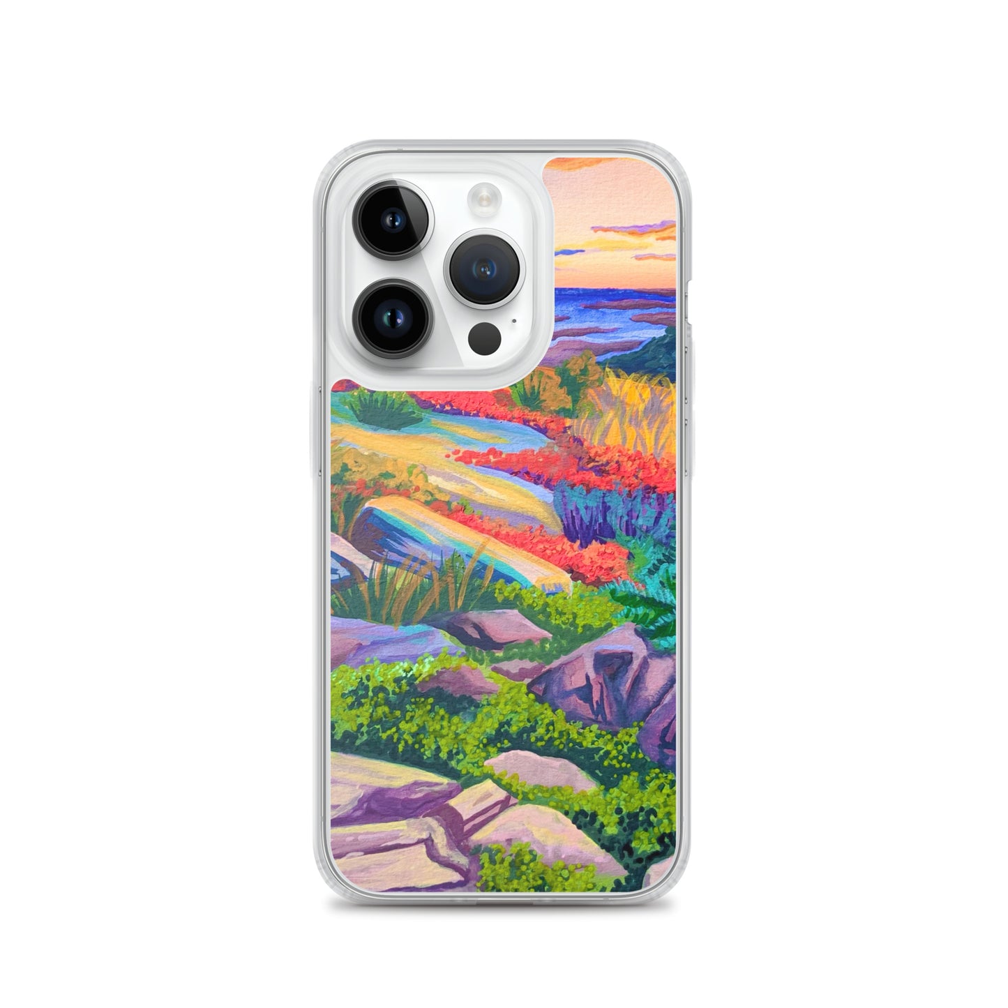 Acadia National Park iPhone Case