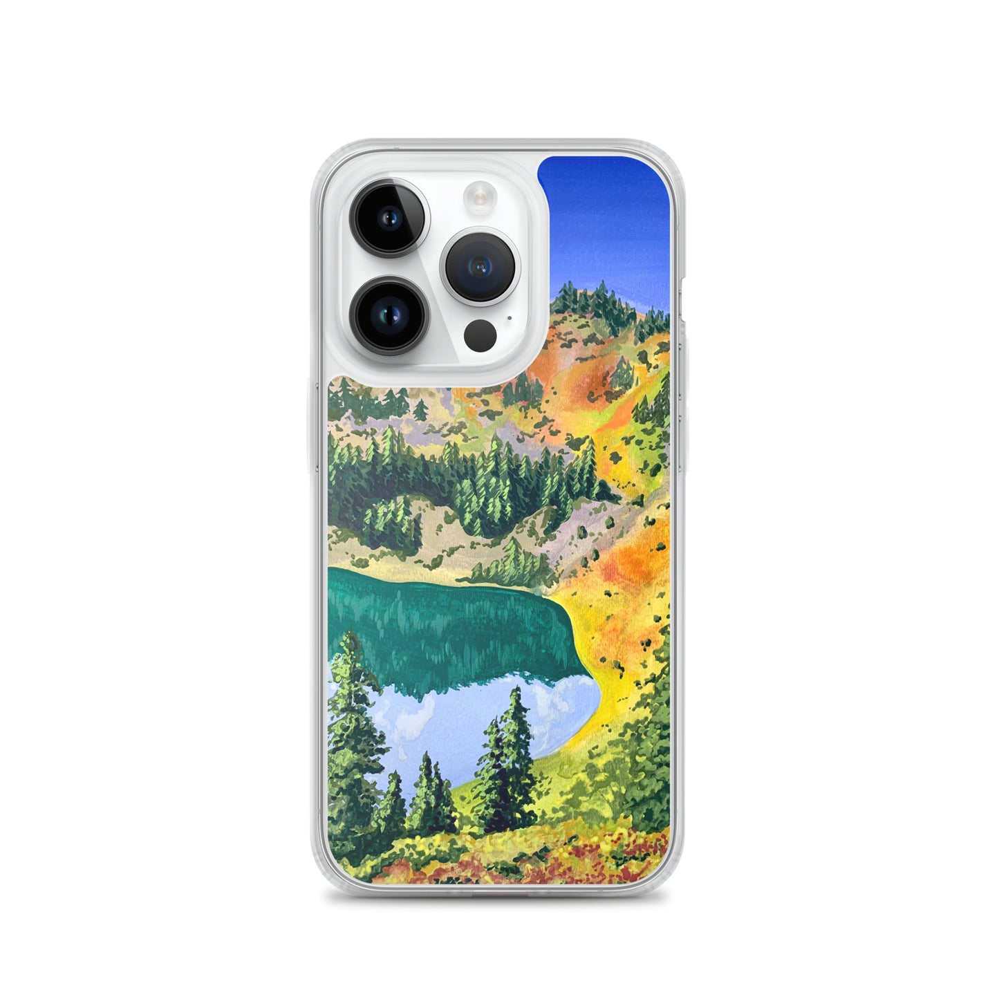 Olympic National Park iPhone Case
