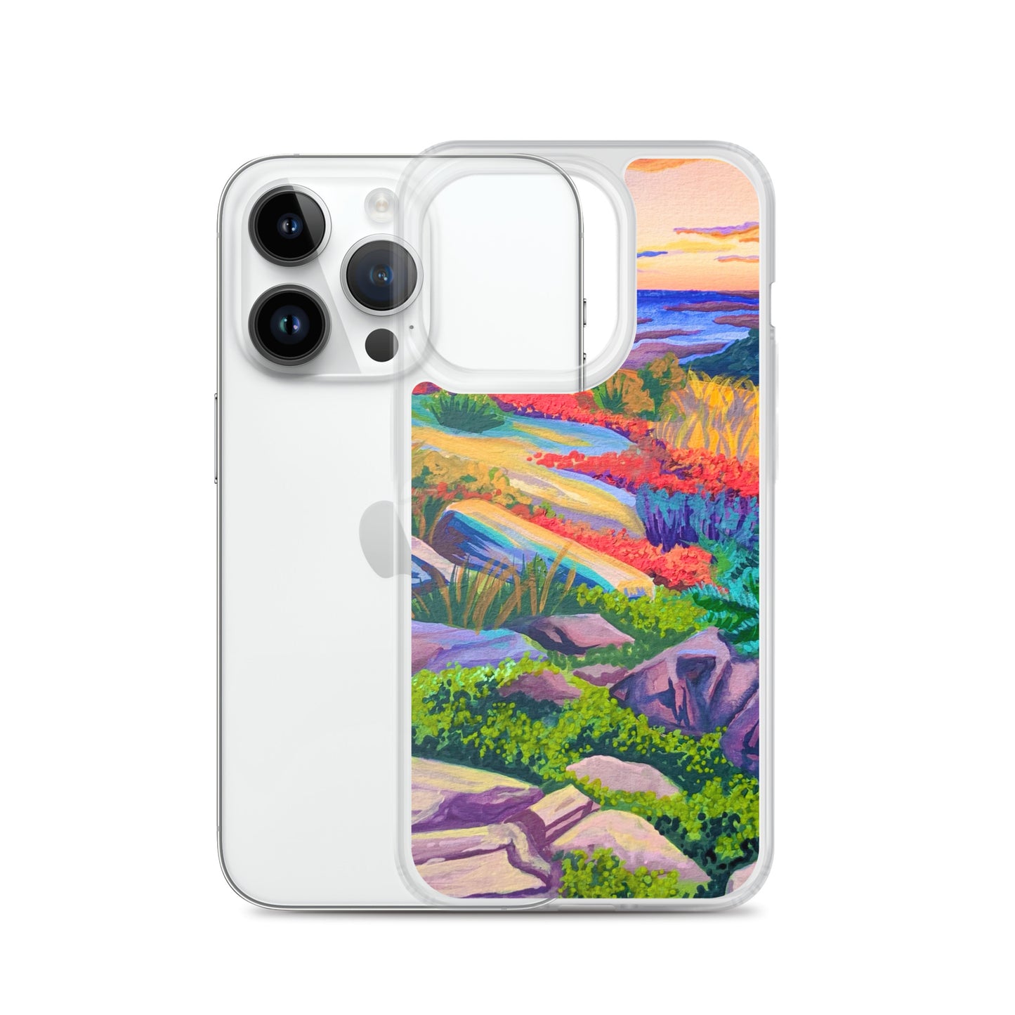 Acadia National Park iPhone Case