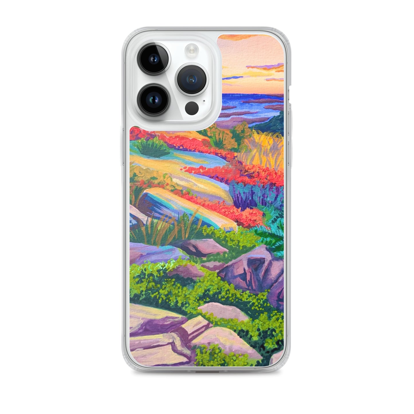 Acadia National Park iPhone Case