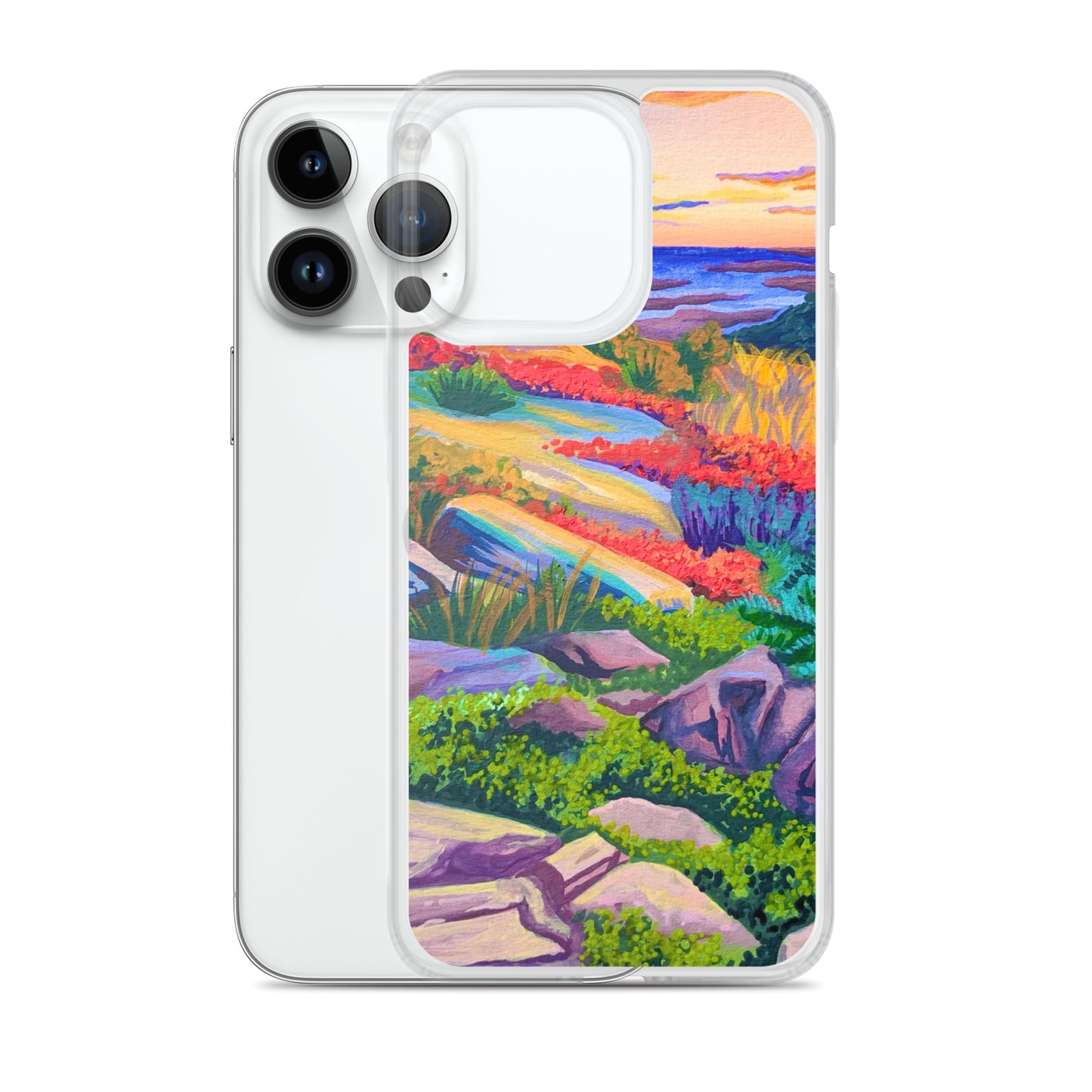 Acadia National Park iPhone Case