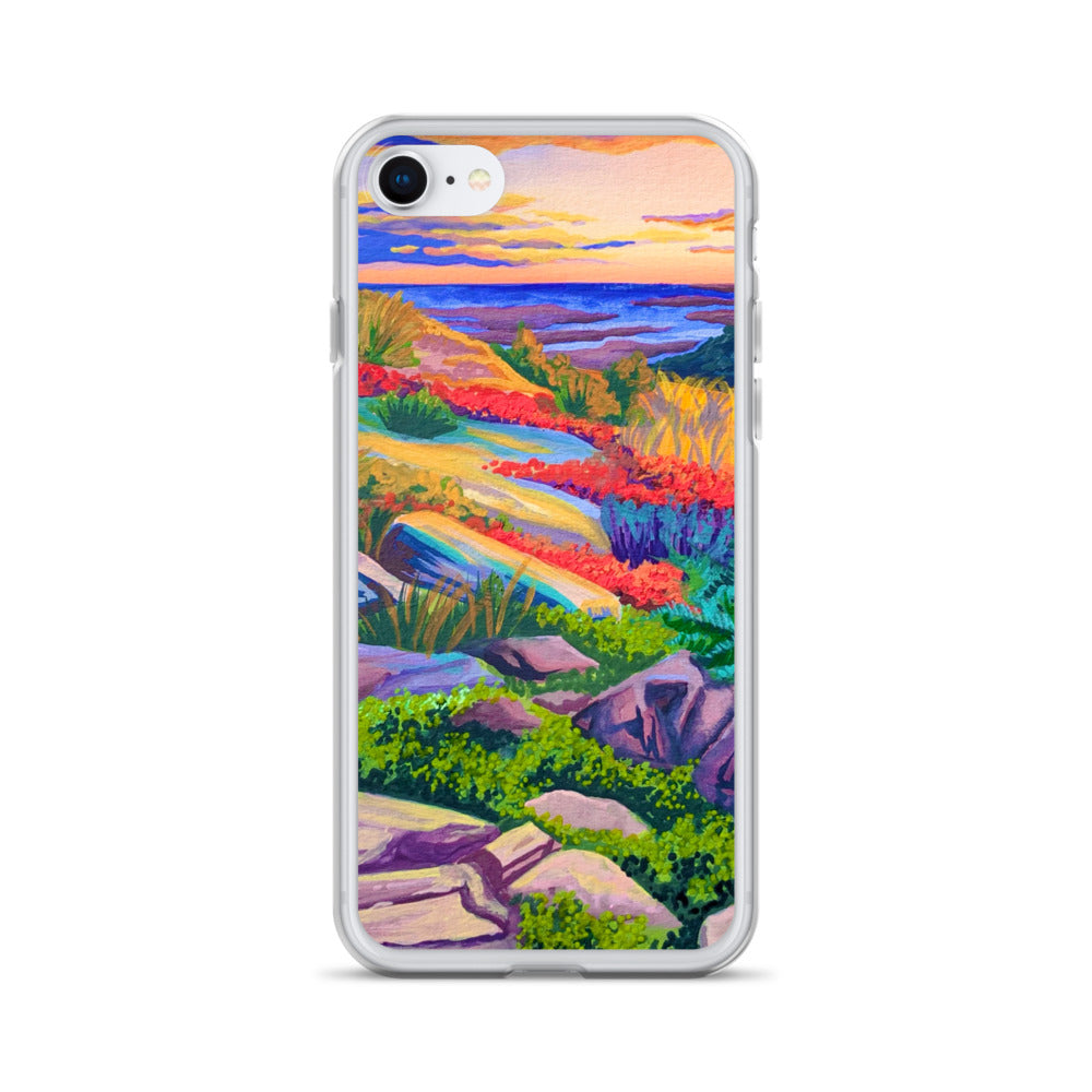 Acadia National Park iPhone Case