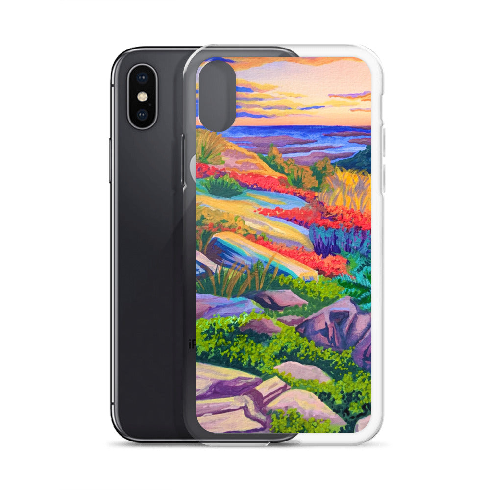 Acadia National Park iPhone Case