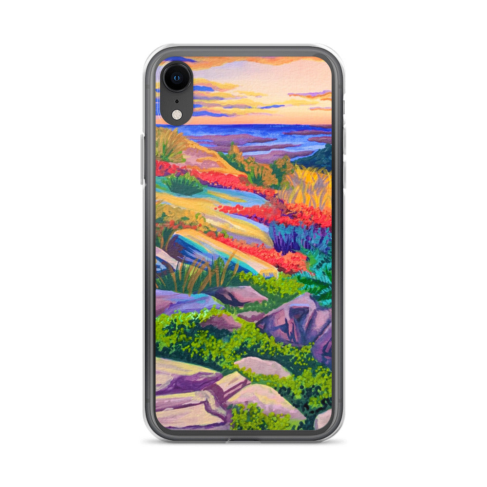 Acadia National Park iPhone Case