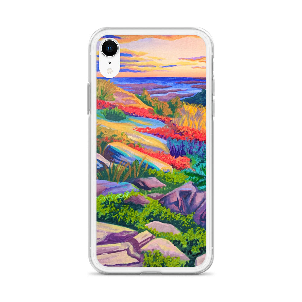 Acadia National Park iPhone Case