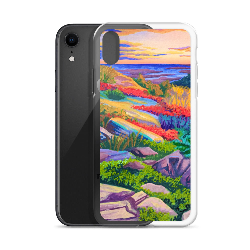 Acadia National Park iPhone Case