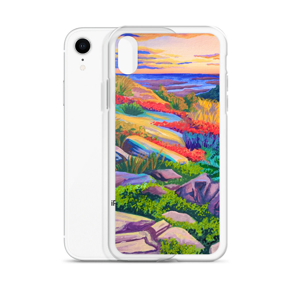 Acadia National Park iPhone Case