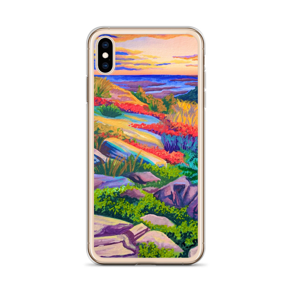 Acadia National Park iPhone Case