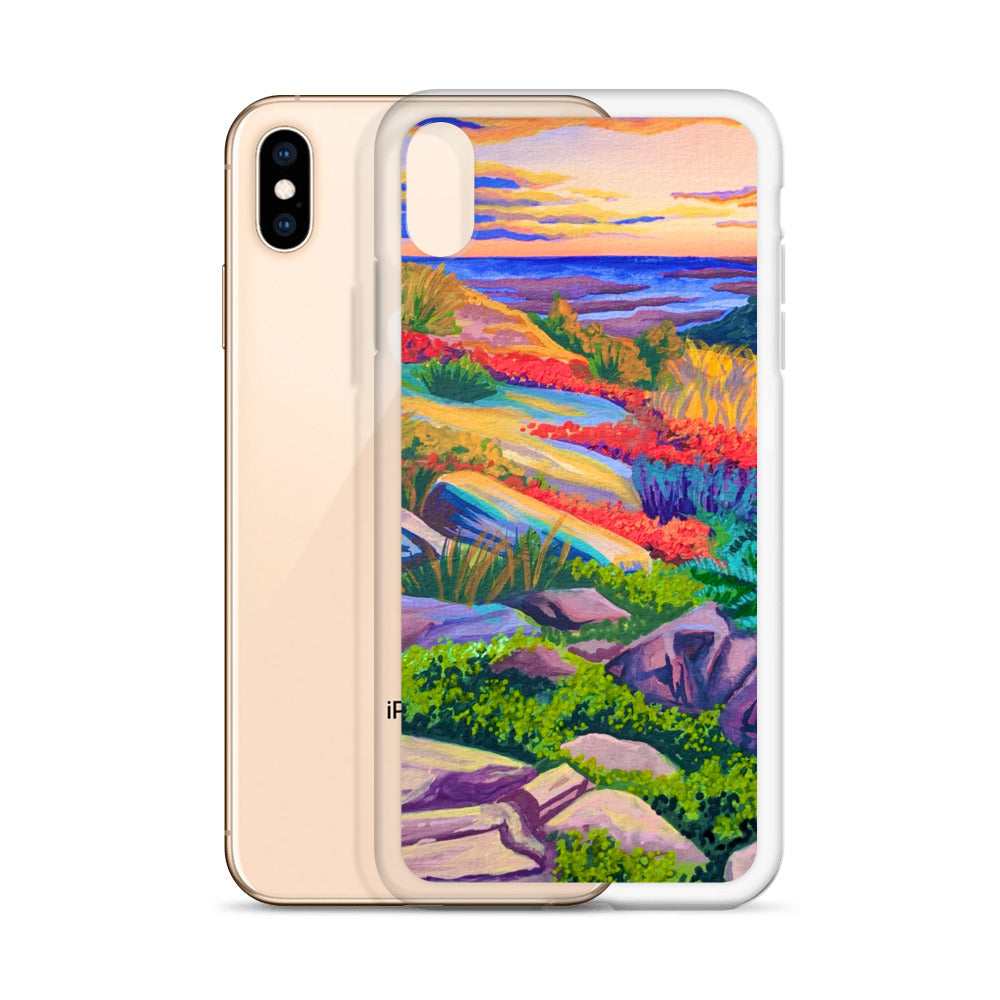 Acadia National Park iPhone Case