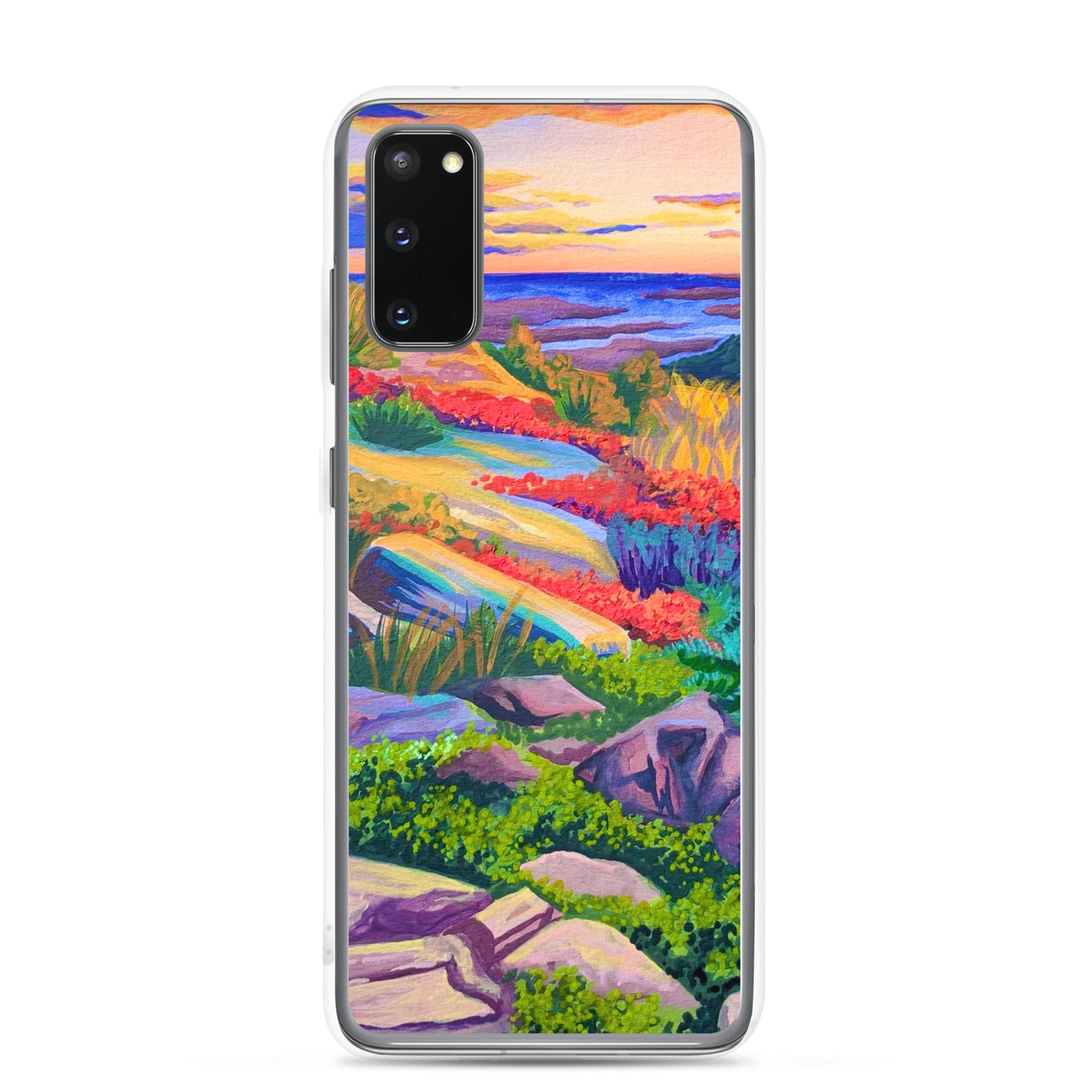 Acadia National Park Samsung Phone Case