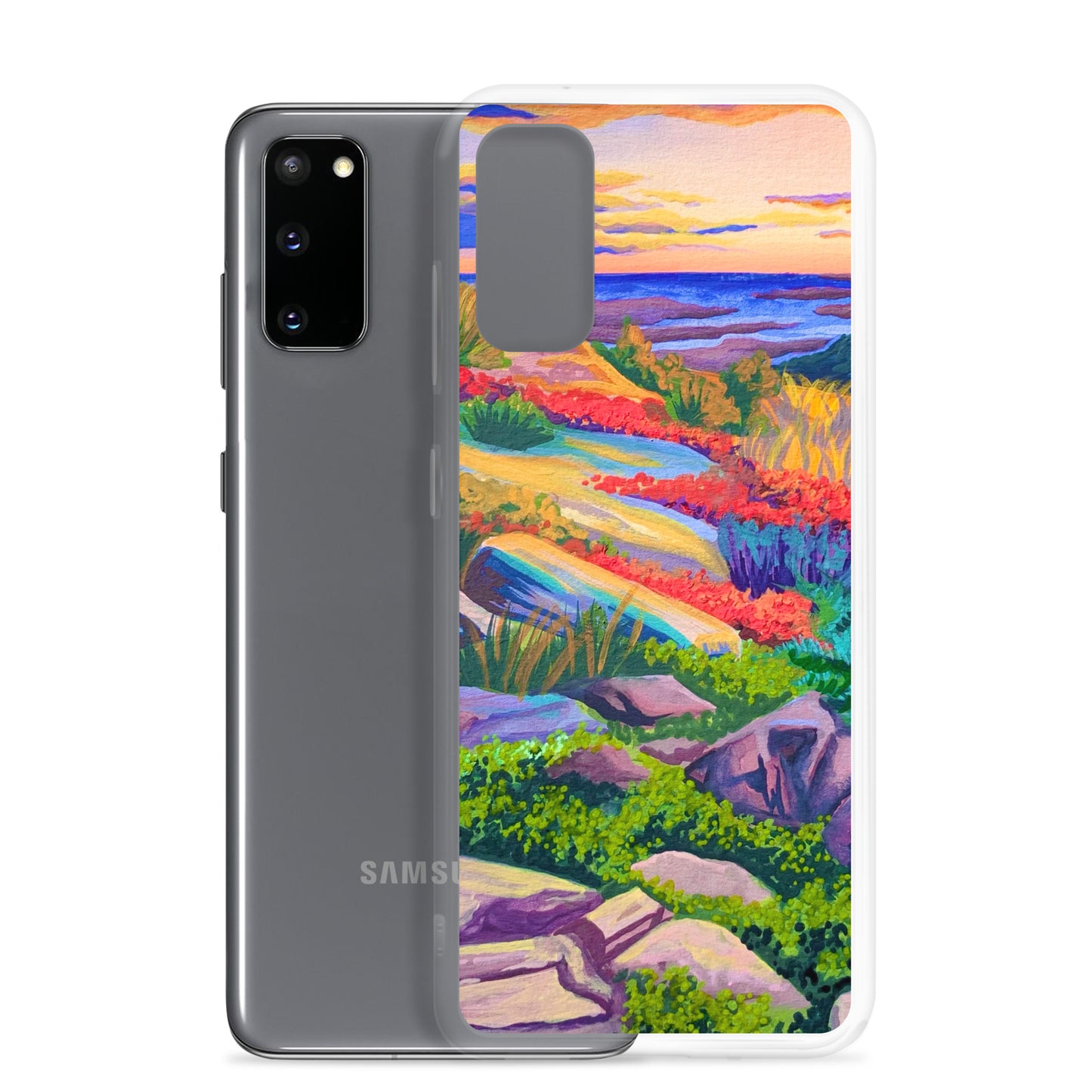 Acadia National Park Samsung Phone Case