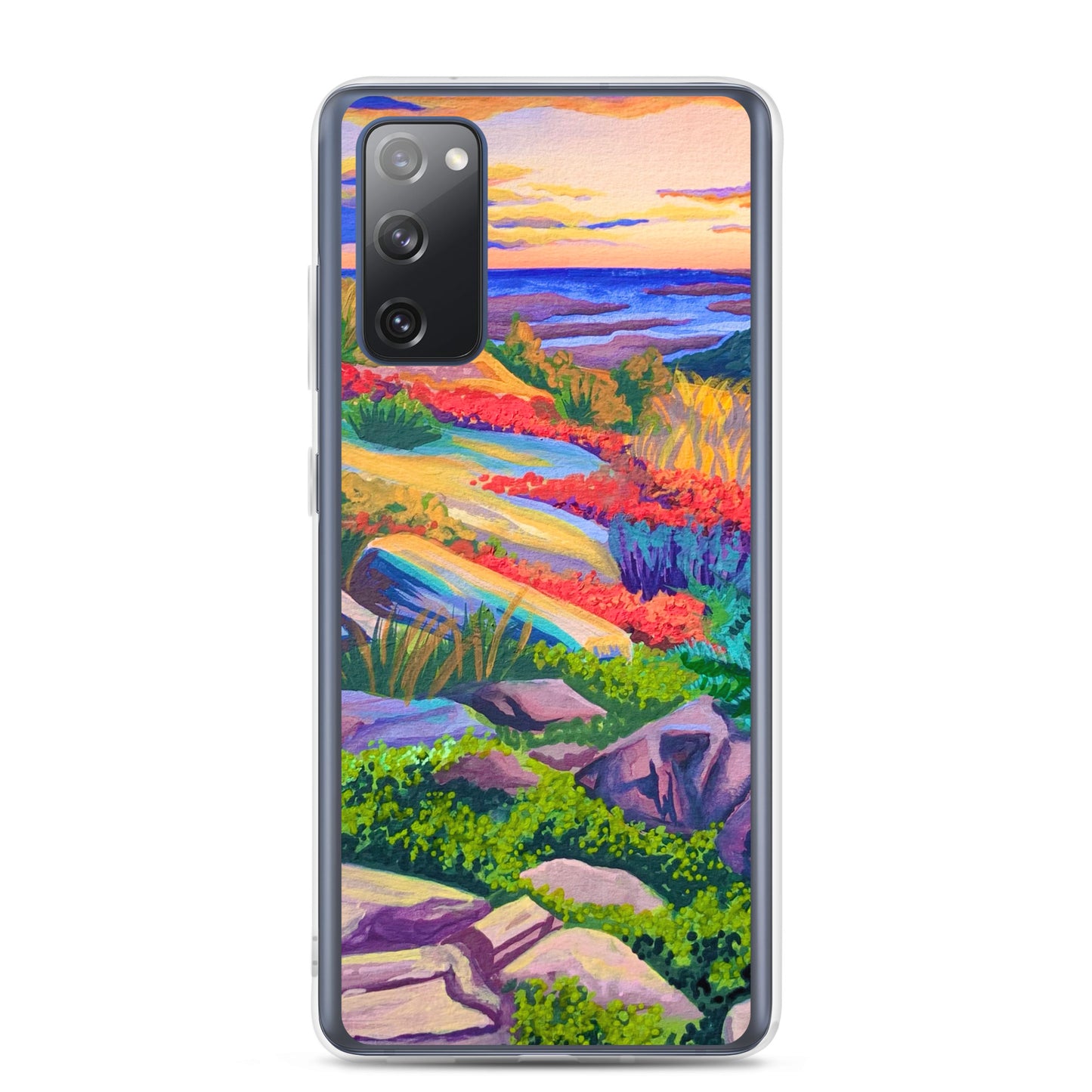 Acadia National Park Samsung Phone Case