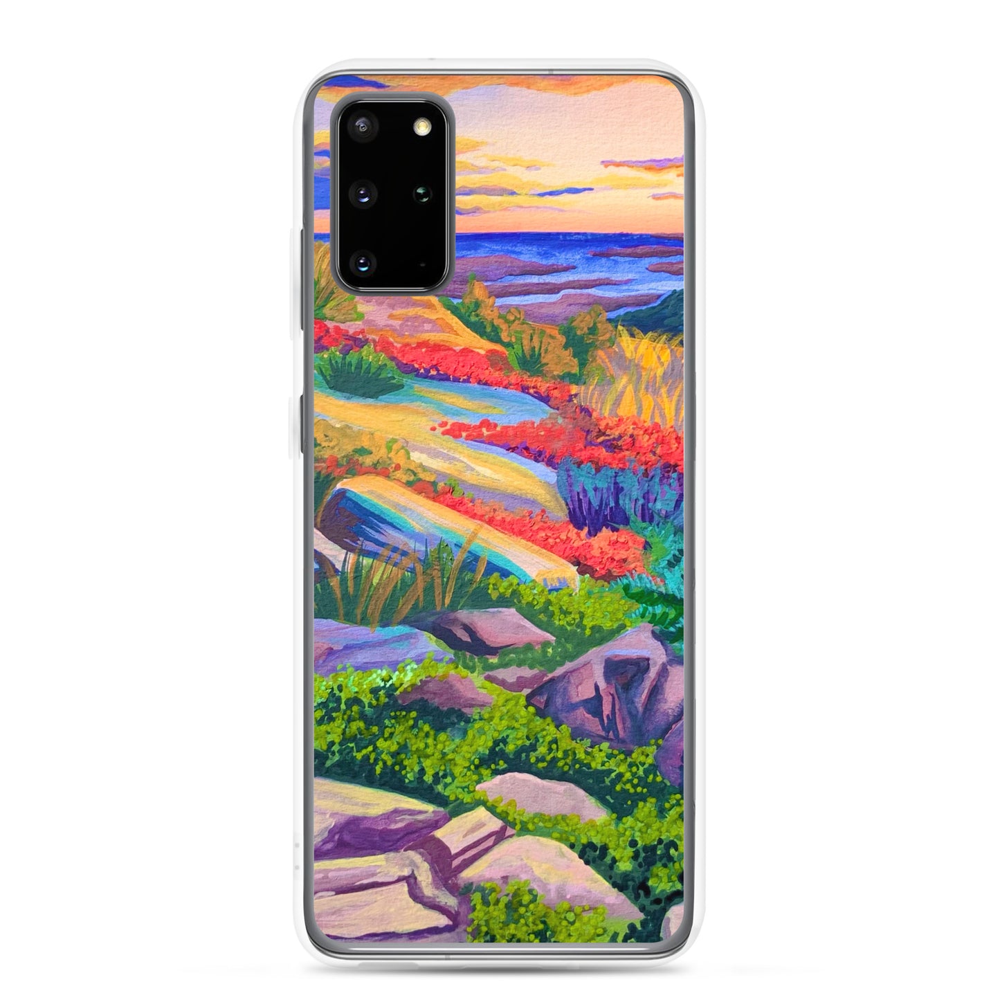 Acadia National Park Samsung Phone Case