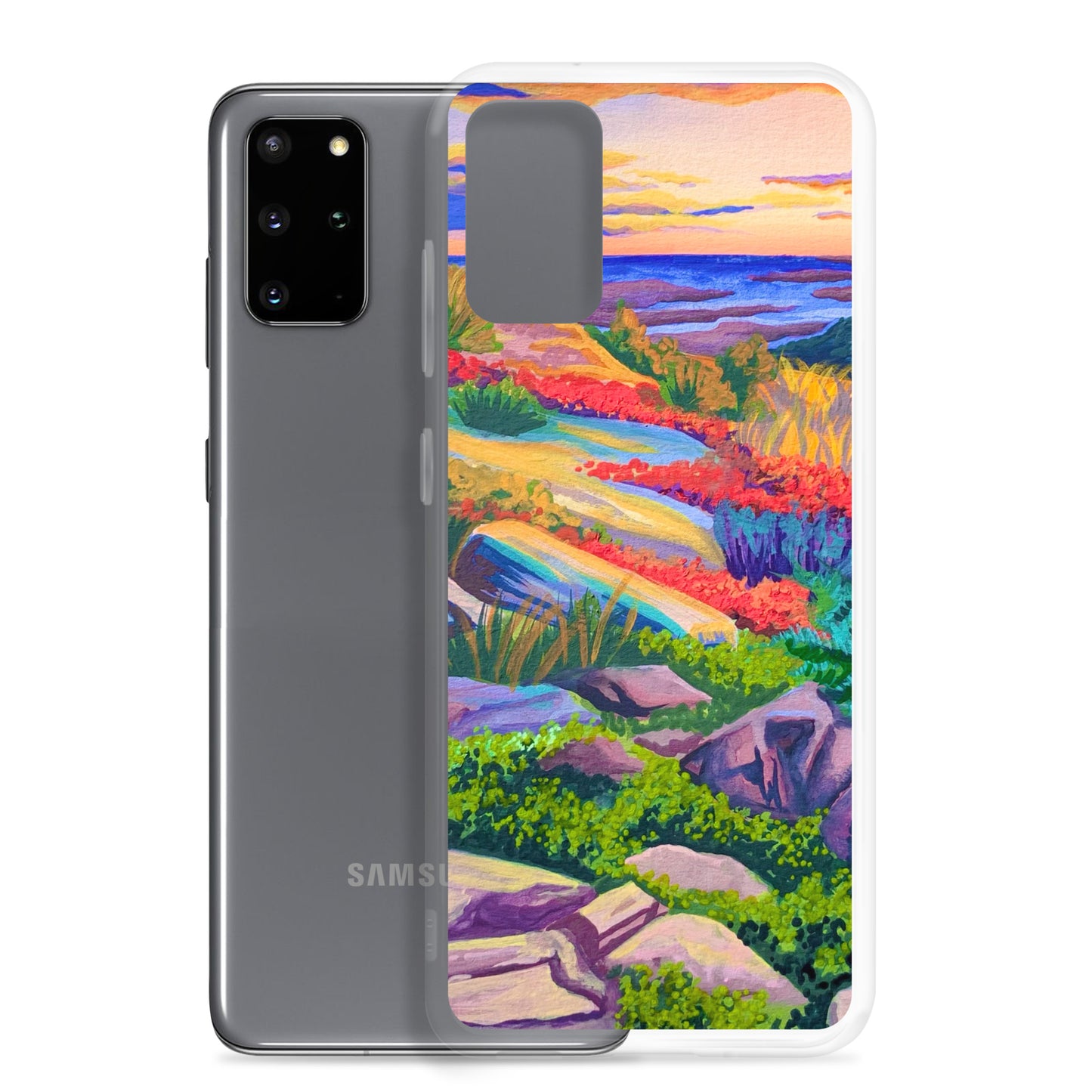 Acadia National Park Samsung Phone Case