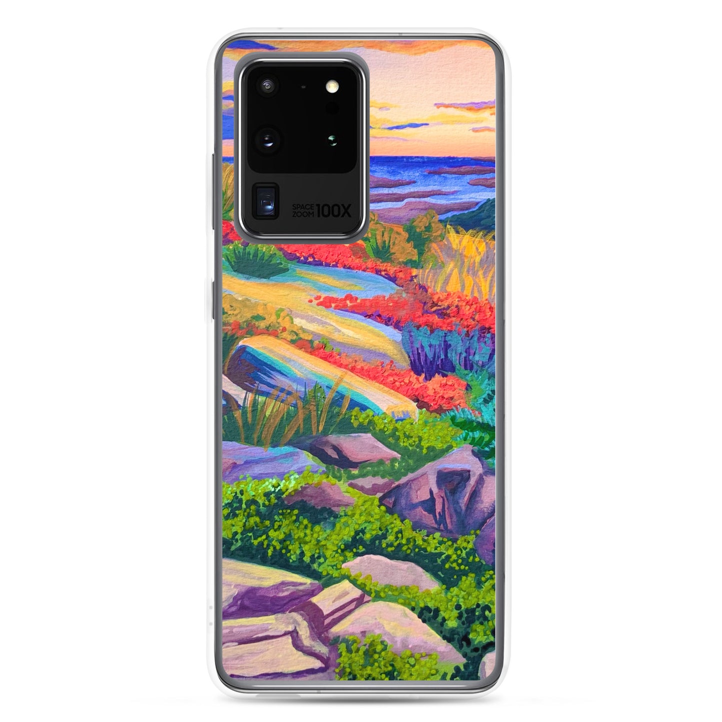 Acadia National Park Samsung Phone Case